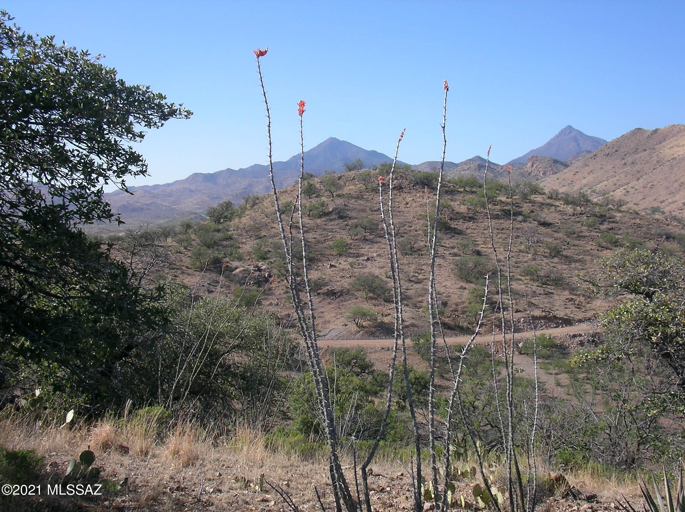 Salero Ranch - Land