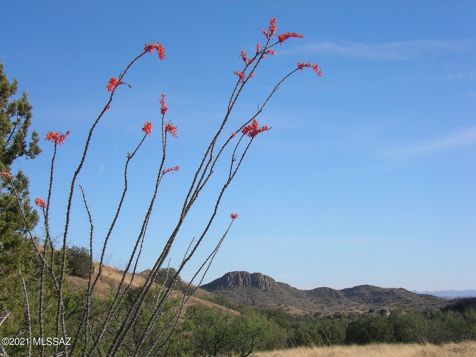 Salero Ranch - Land
