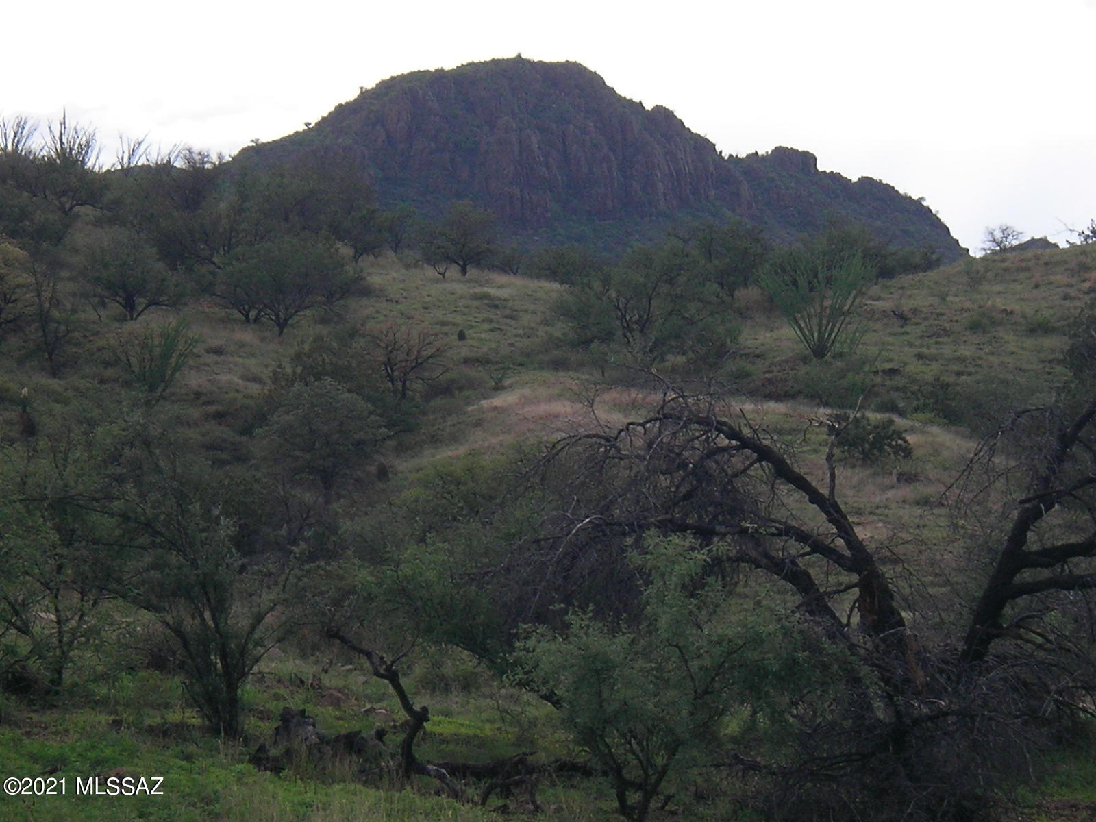 Salero Ranch - Land