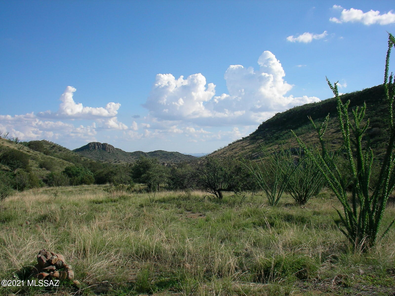 Fantastic 50 acre parcel at the spectacular Salero Ranch. Easy building site with excellent views and underground power to the lot. Good 300 foot well next door. Parcel borders the Arizona Game and Fish Preserve for extra privacy, endless hiking and exploring. Abundant wildlife, seasonal creeks and diverse vegetation. Call for a private tour.