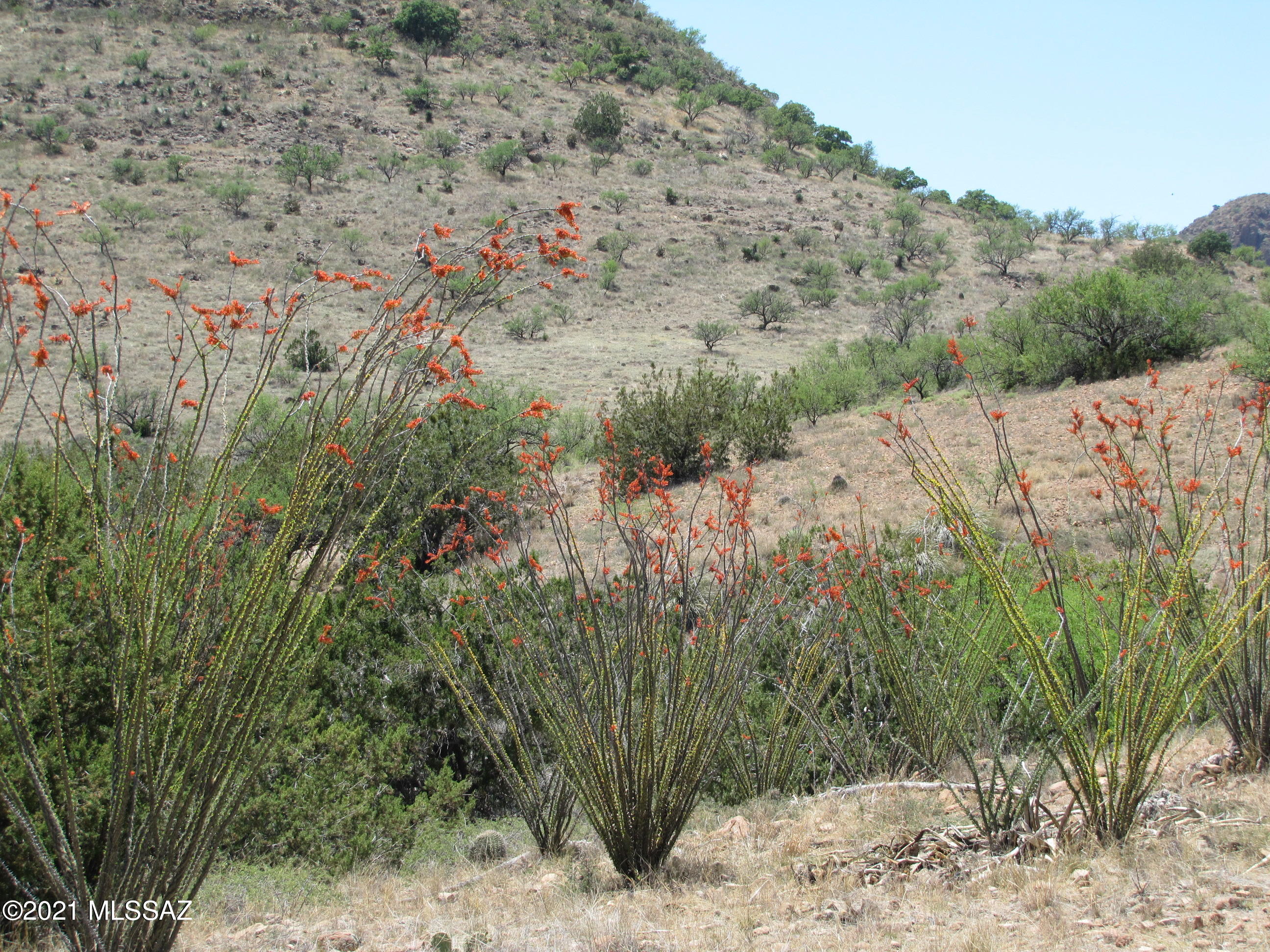 Salero Ranch - Land