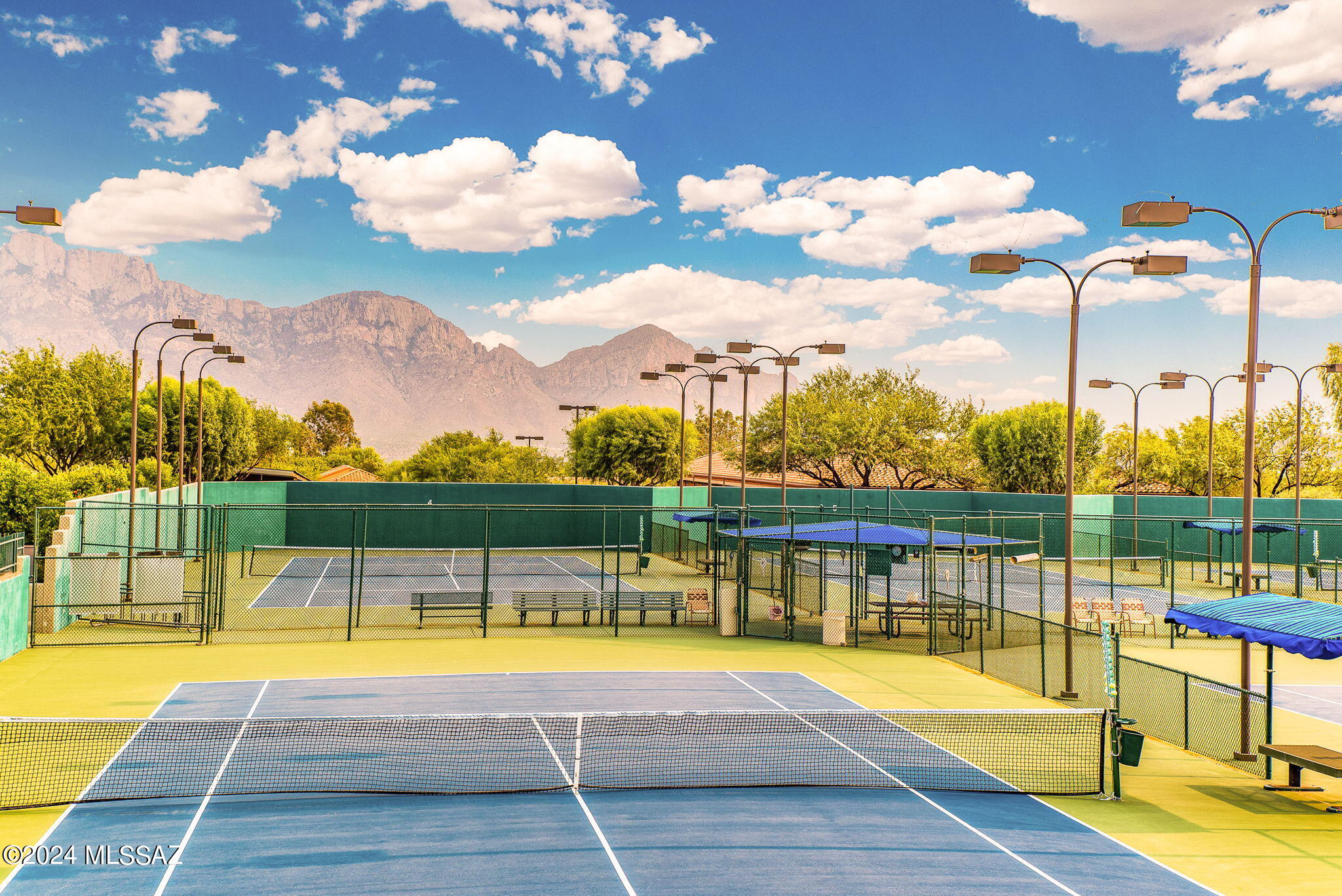 Sun City Vistoso Unit 5(1-288) - Residential