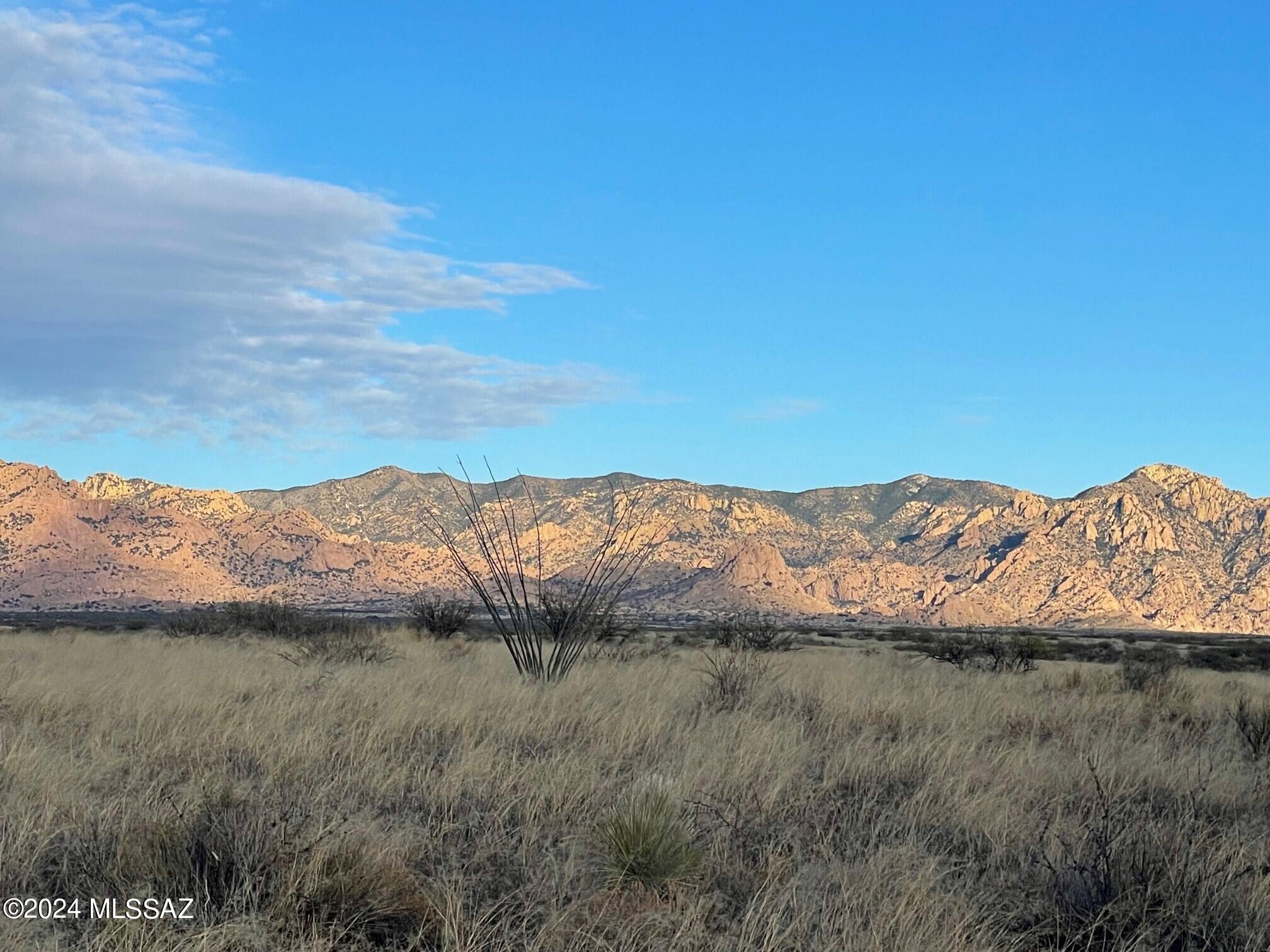 Dragoon Mountain Ranch - Land