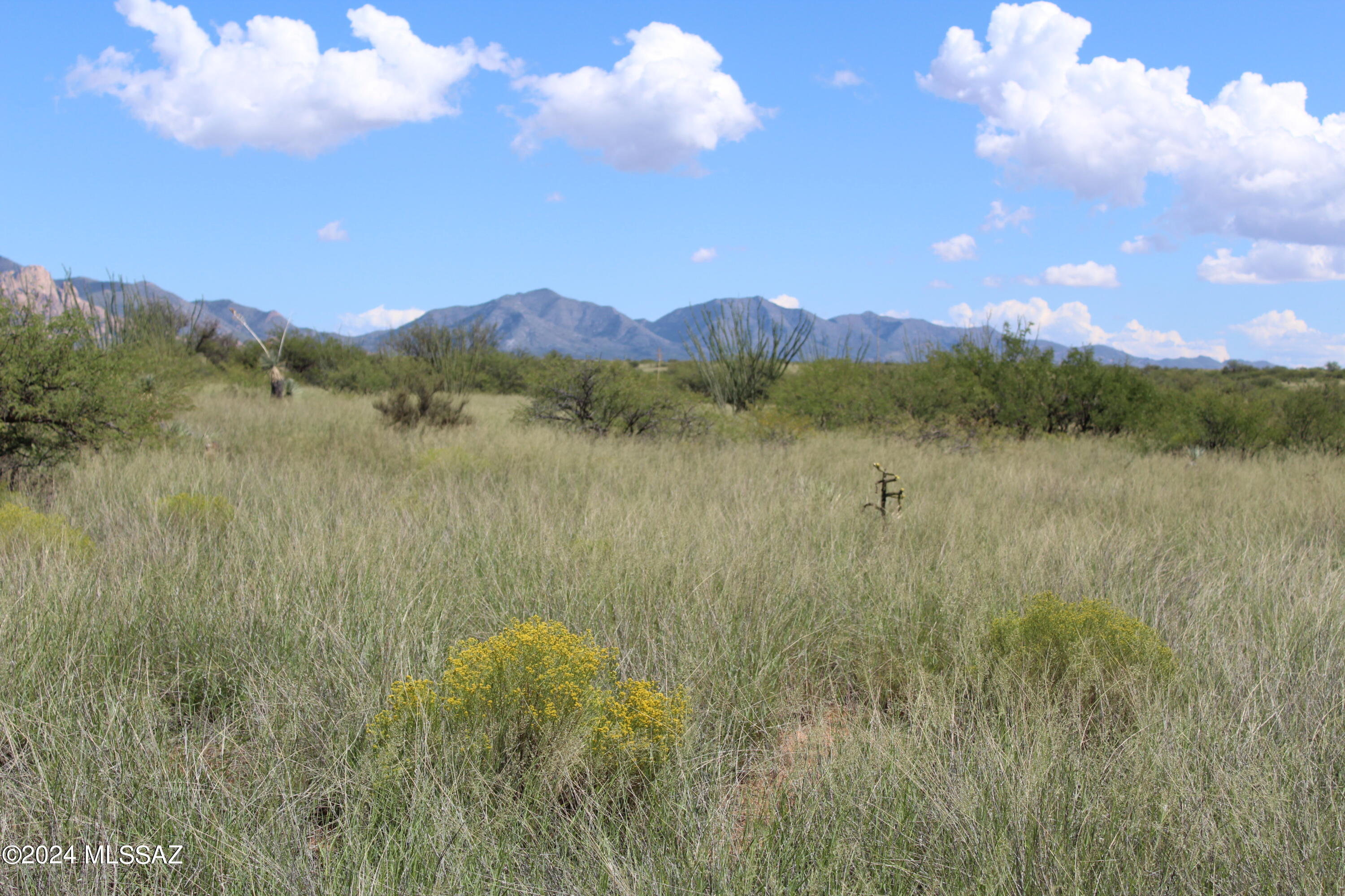 Imagine having your choice of over 14,000 acres to choose your parcel from. That is what this seller did as a developer of this incredible Dragoon Mountain Ranch. He purchased this parcel for his family. You must see this spectacular hilltop building site with spectacular 360 degree views of eight mountain ranges and bordering the coveted Slavin Canyon Conservation Greenbelt. Easy build, very useable, excellent water table for your private well and underground electric and phone. Tasteful CCR's to ensure property values. Site built only and no further subdividing. Perfect horse property with miles of unlimited riding. Must see!