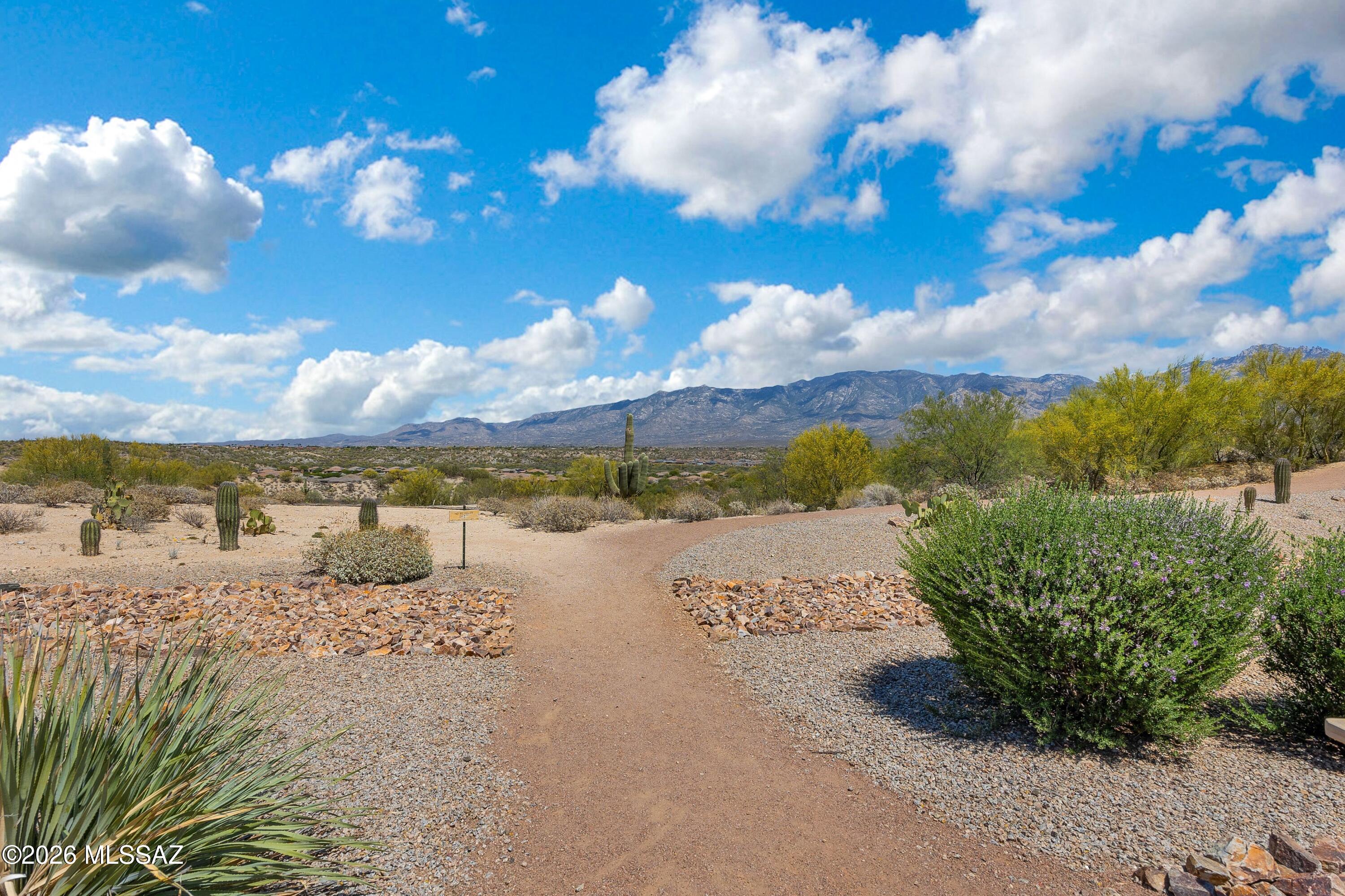 Rancho Vistoso Parcel 5F SQ20170690715 - Residential