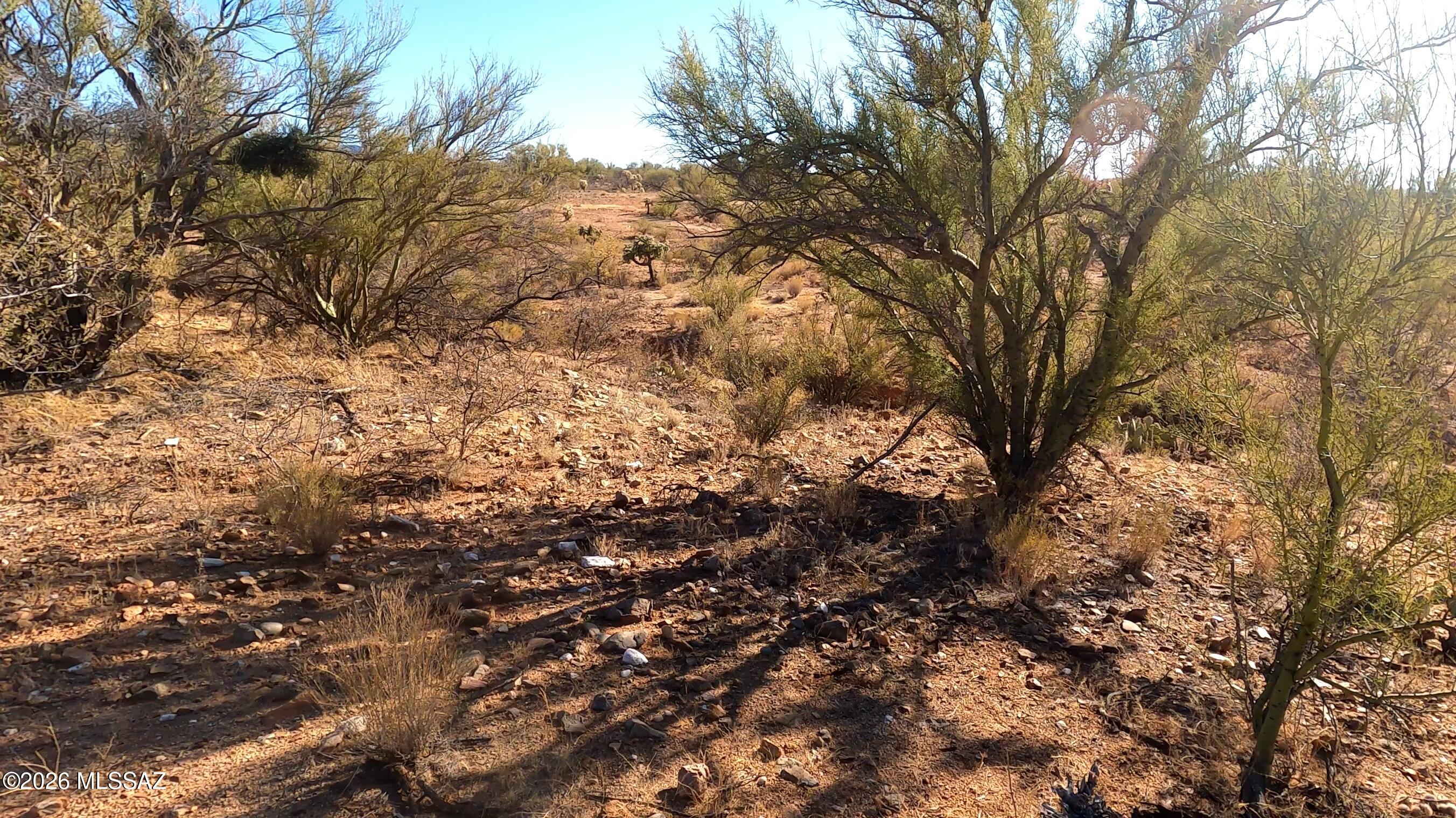 Diamond Bell Ranch - Tucson Unit 11 (1-448) - Land