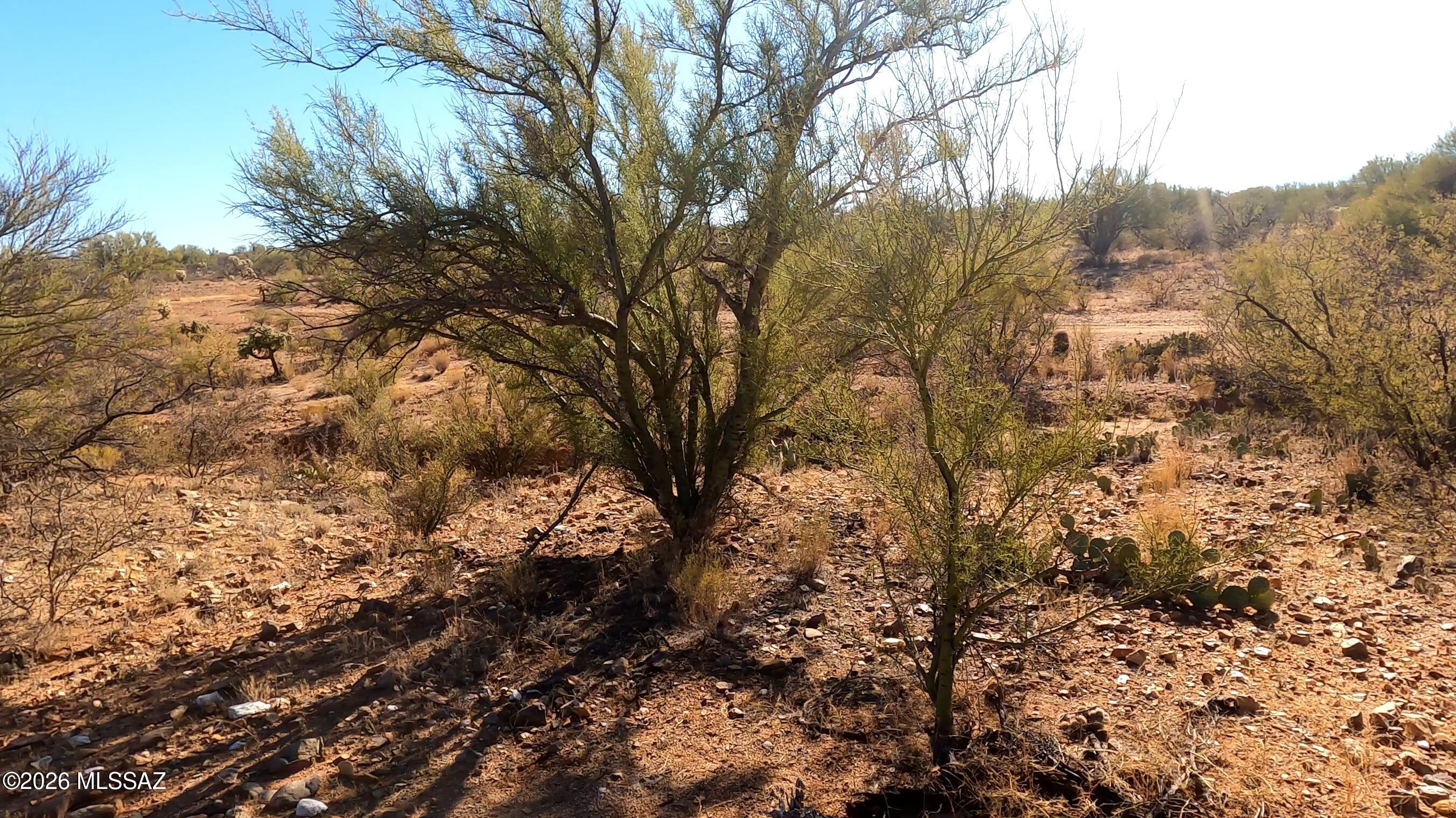 Diamond Bell Ranch - Tucson Unit 11 (1-448) - Land