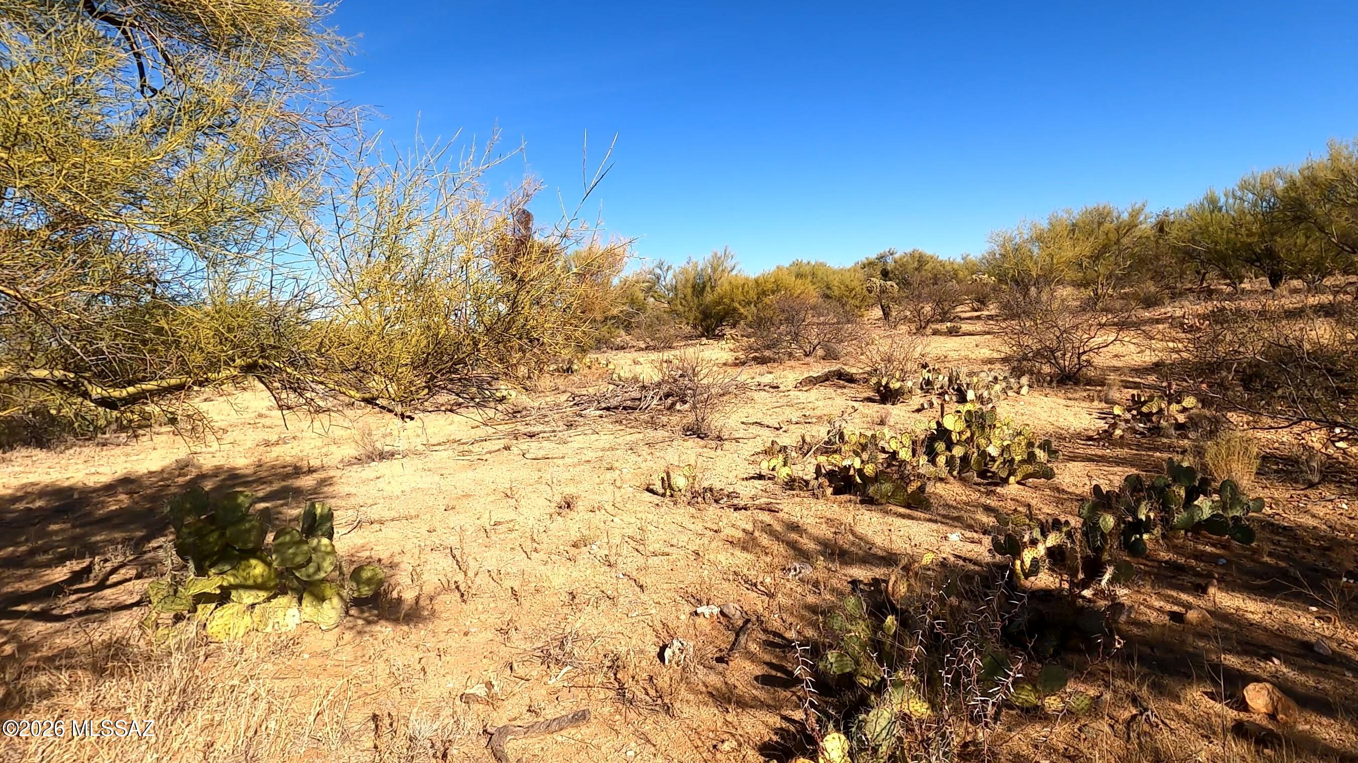 Diamond Bell Ranch - Tucson Unit 11 (1-448) - Land