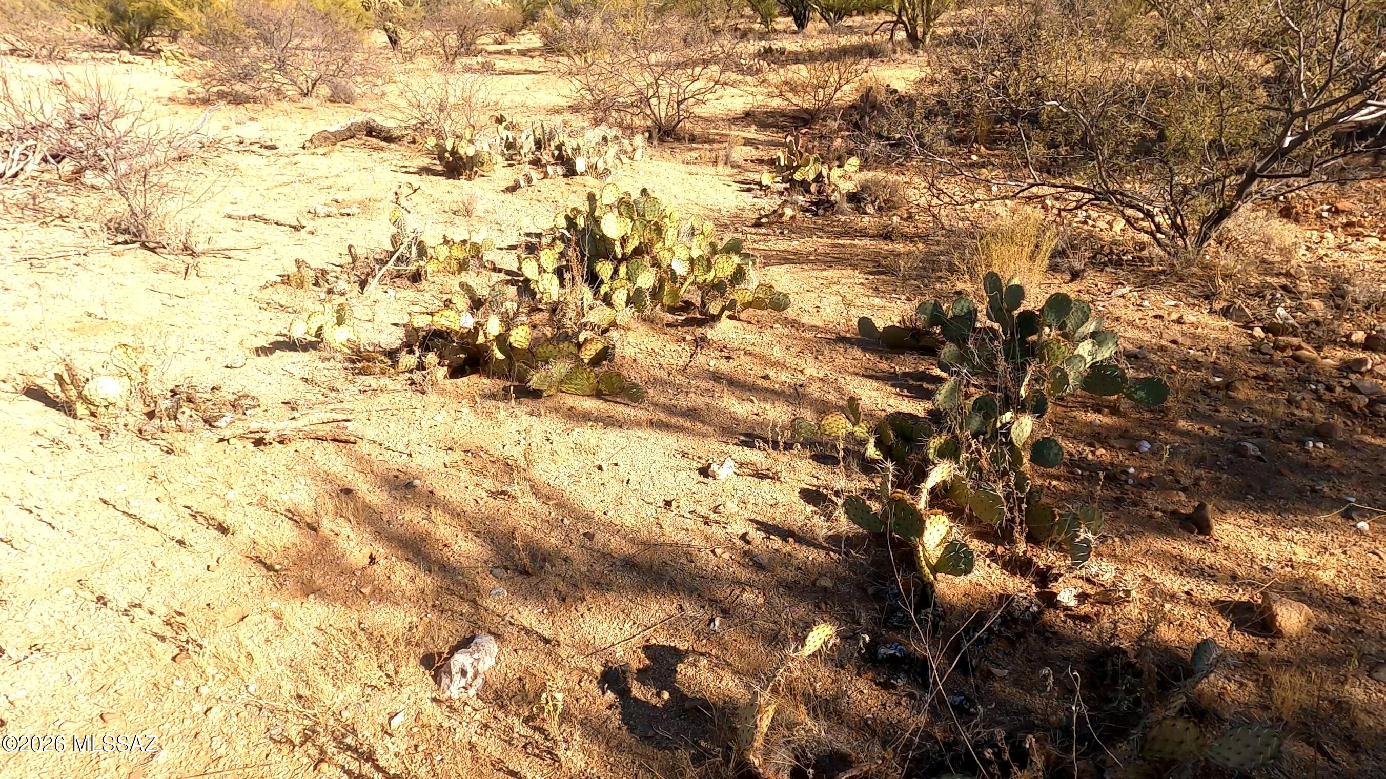 Diamond Bell Ranch - Tucson Unit 11 (1-448) - Land