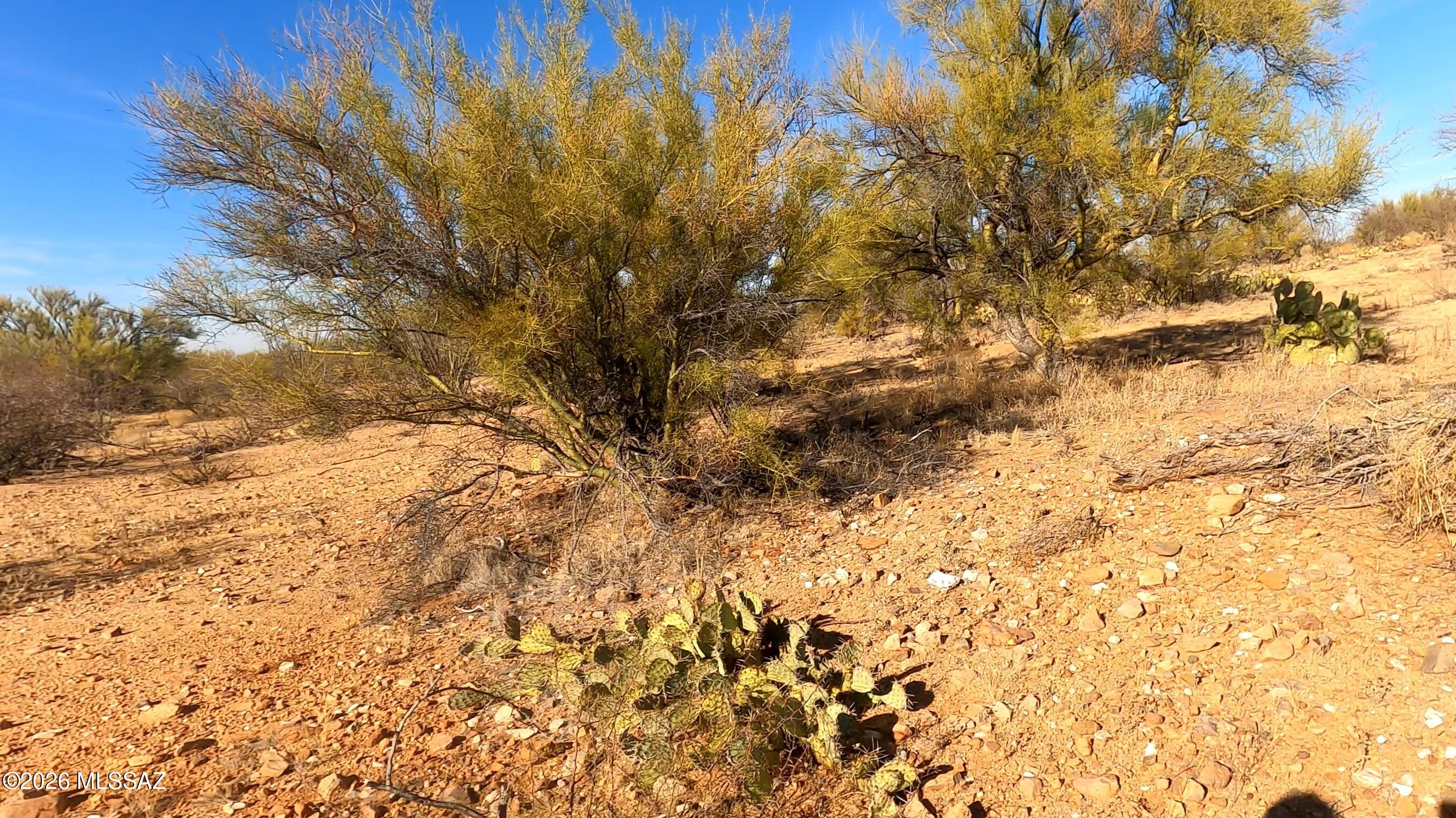 Diamond Bell Ranch - Tucson Unit 11 (1-448) - Land