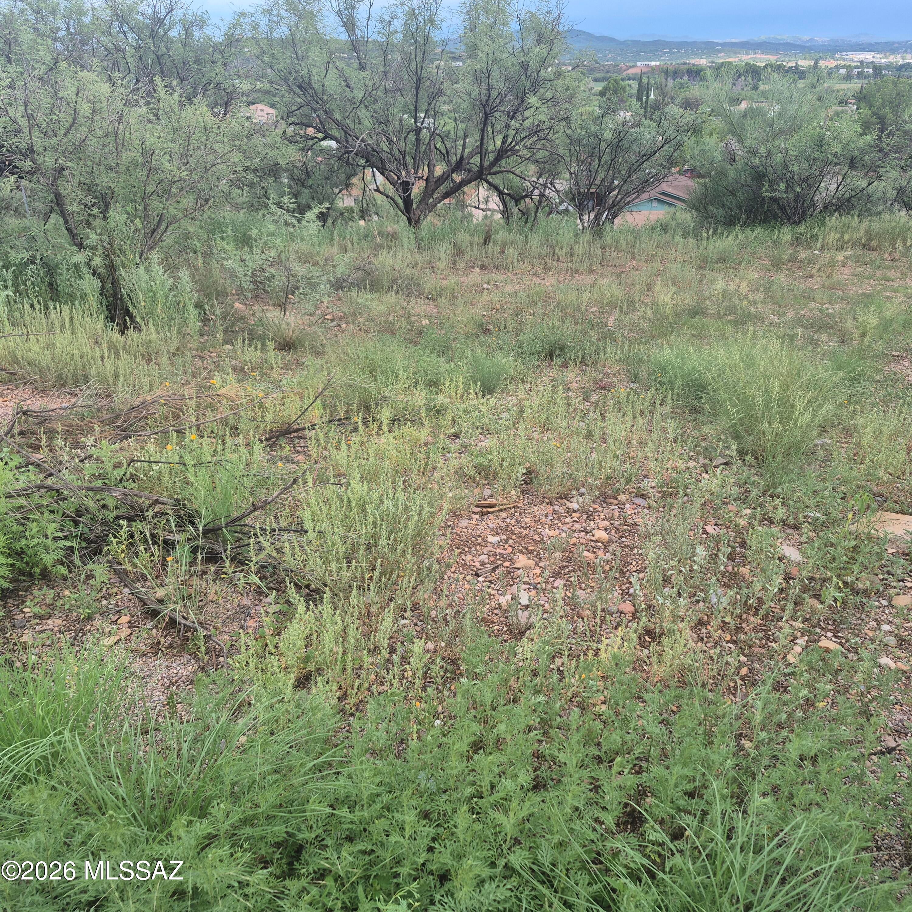 Rio Rico - Land