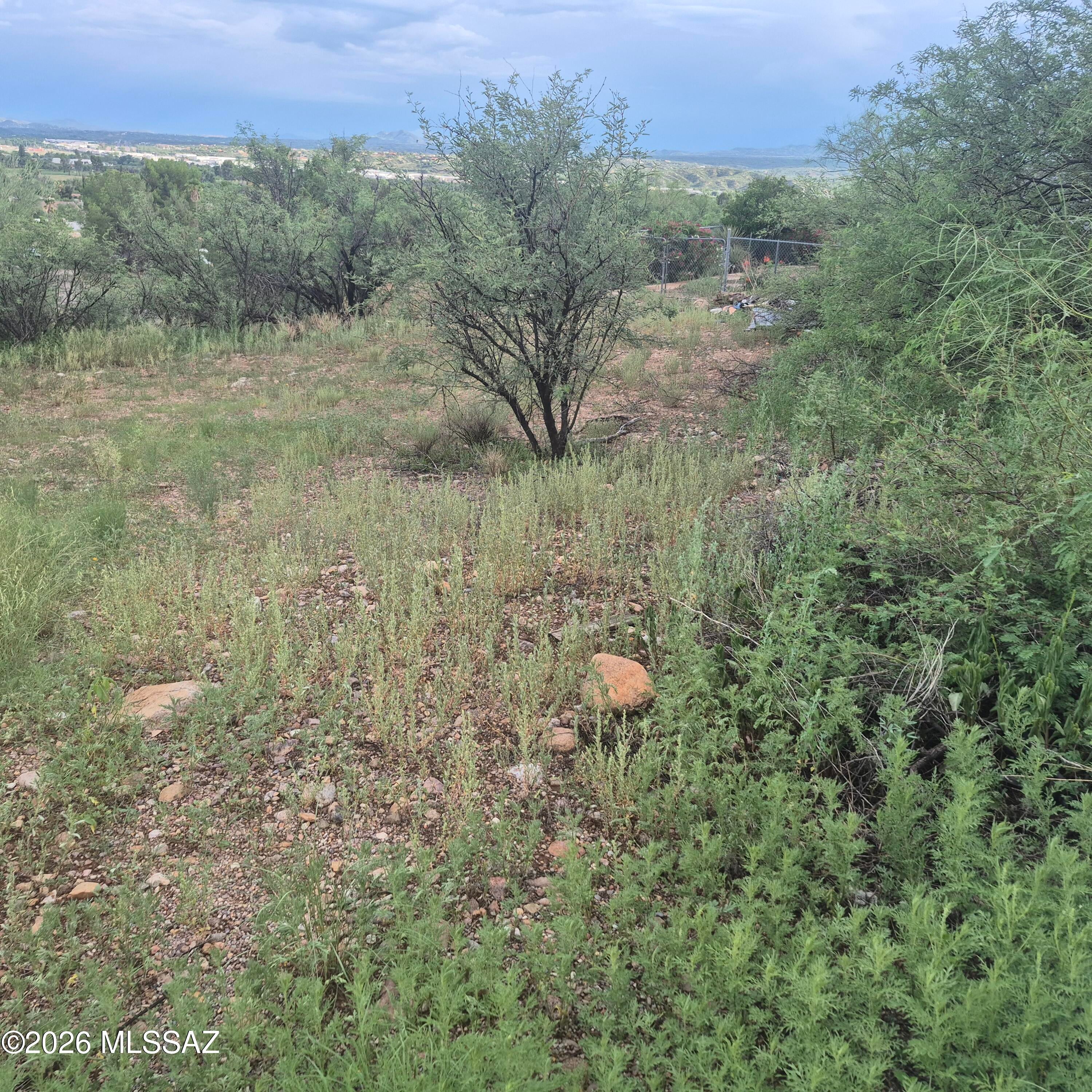 Rio Rico - Land