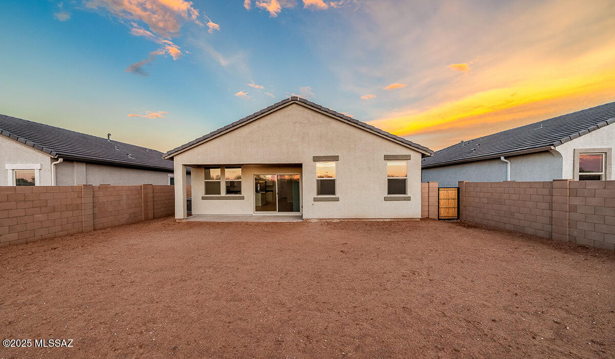Saguaro Bloom - Residential