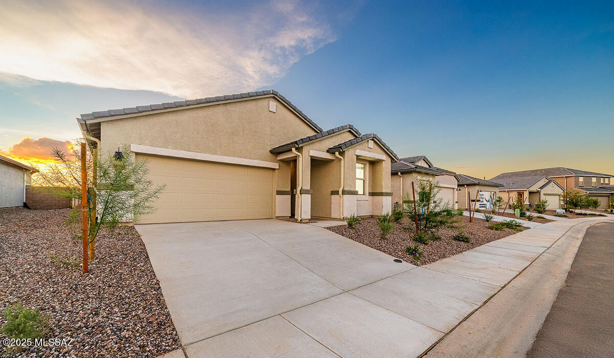 Saguaro Bloom - Residential