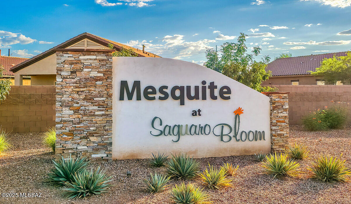 Saguaro Bloom - Residential