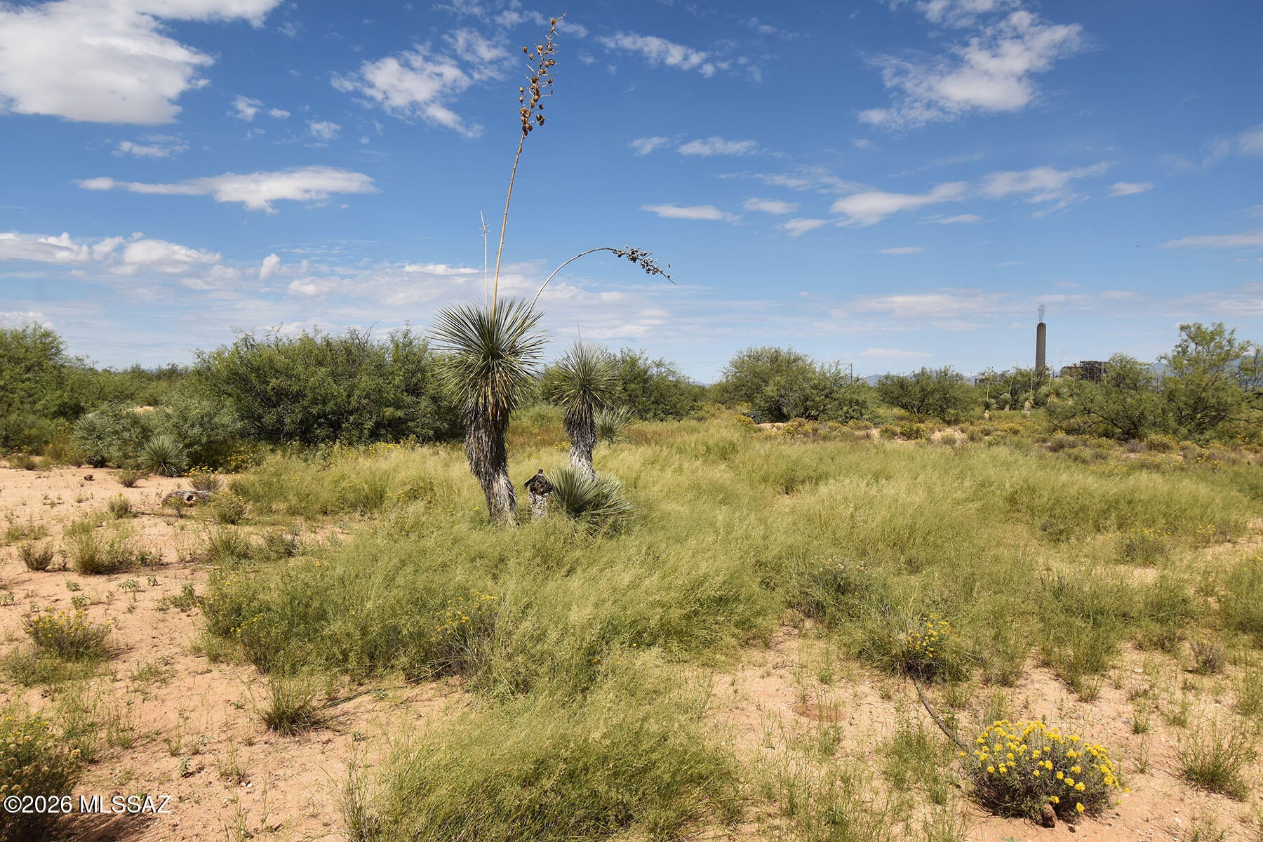 Arizona Sun Sites - Land