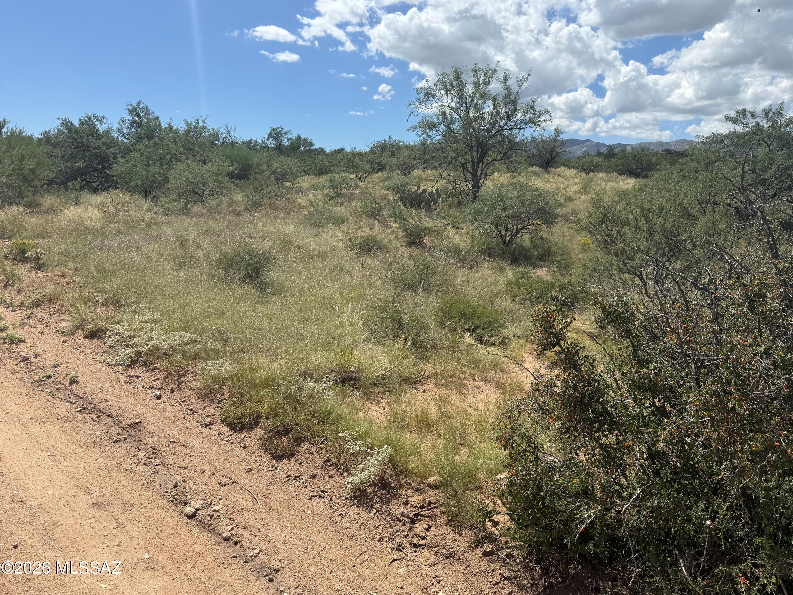 Great lot in Flying Diamond Air Park, runway redone in 2025. Residential property that allows horses and large buildings such as barns, shops, aircraft hangars. Shared well for water with utilities underground. 1500 sq. ft. house is the minimum, HOA does not allow for Manufactured homes. Septic System required.