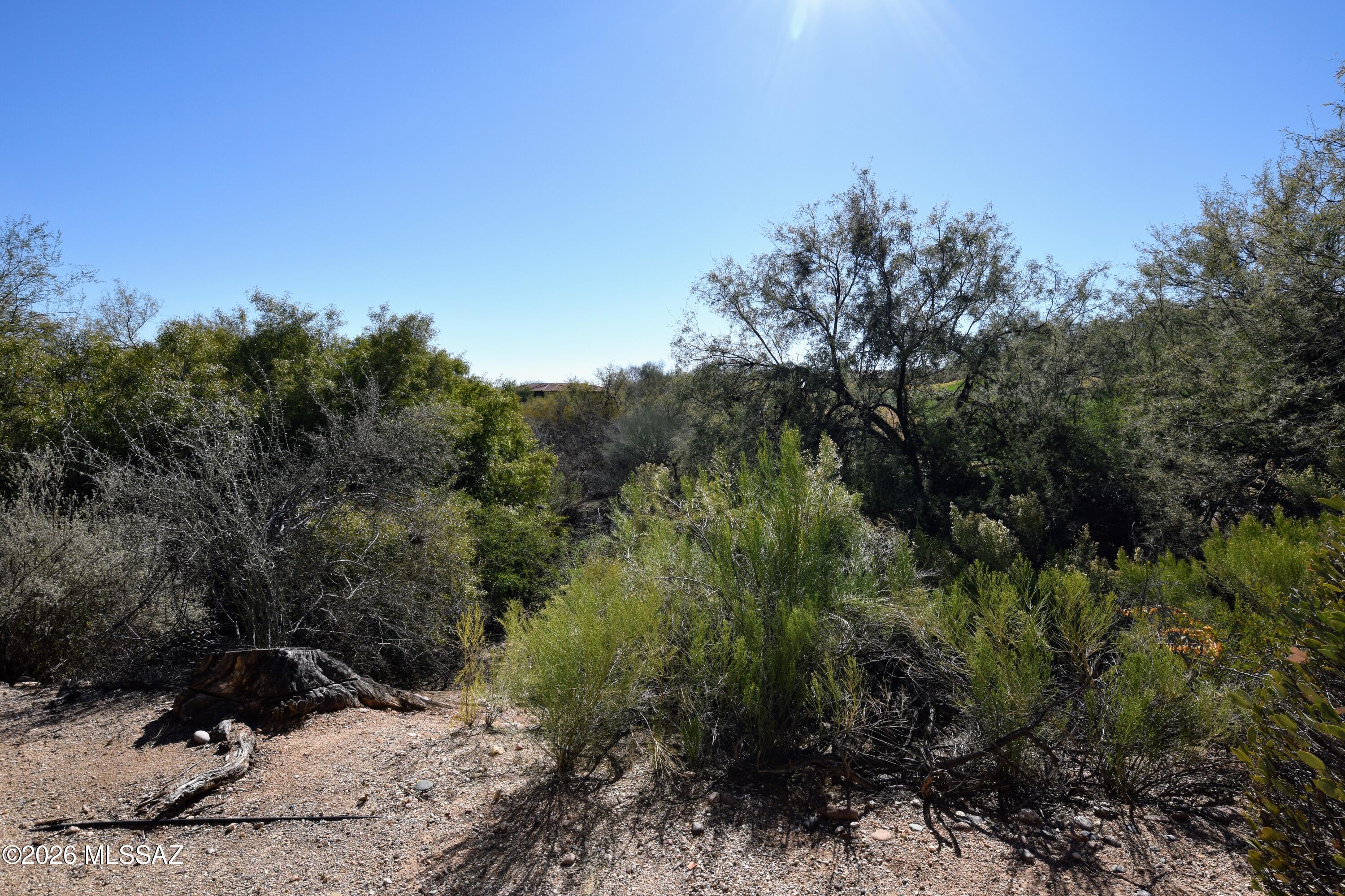 Greens at Ventana Canyon - Residential Lease