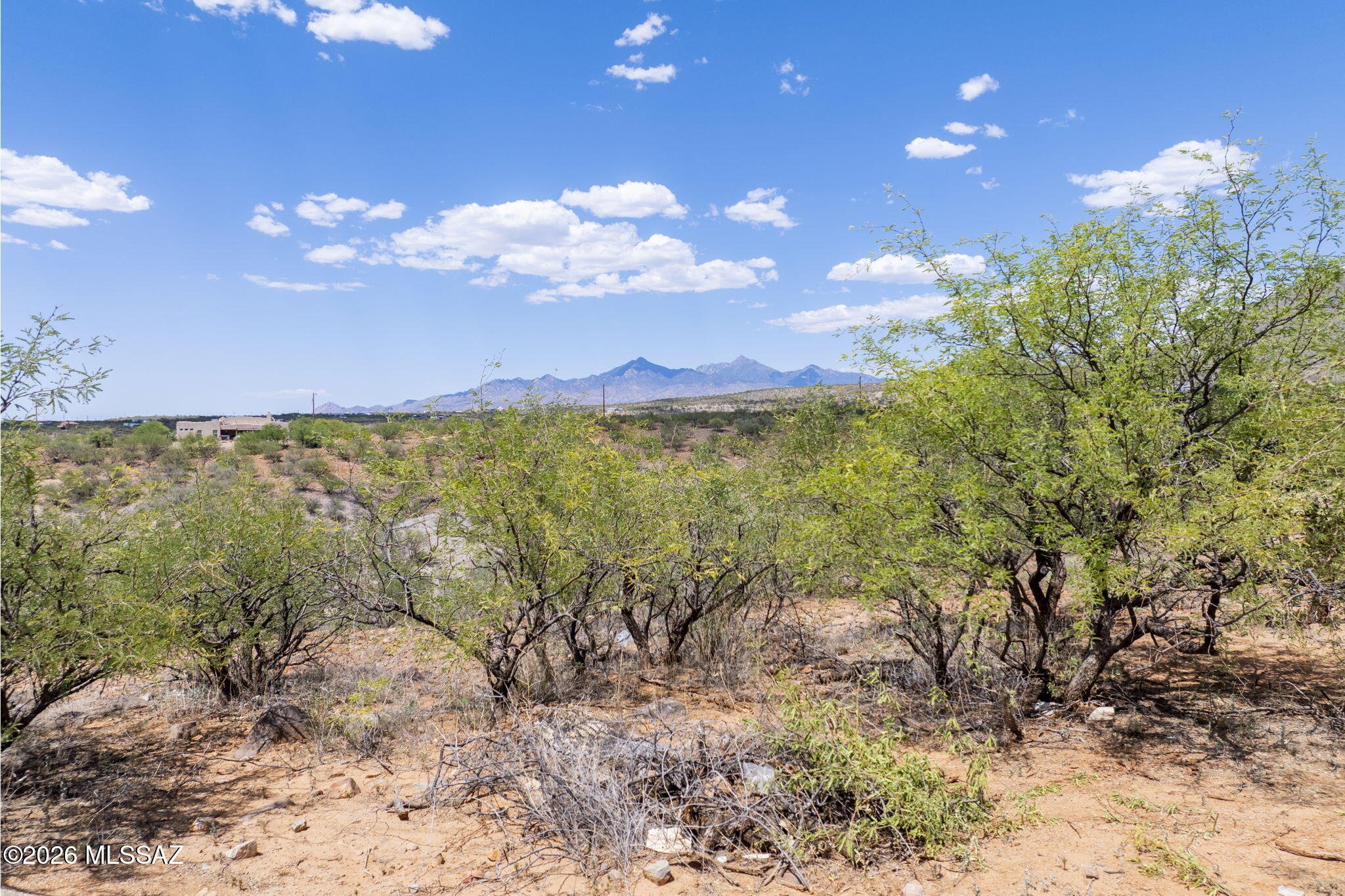 Rio Rico - Land