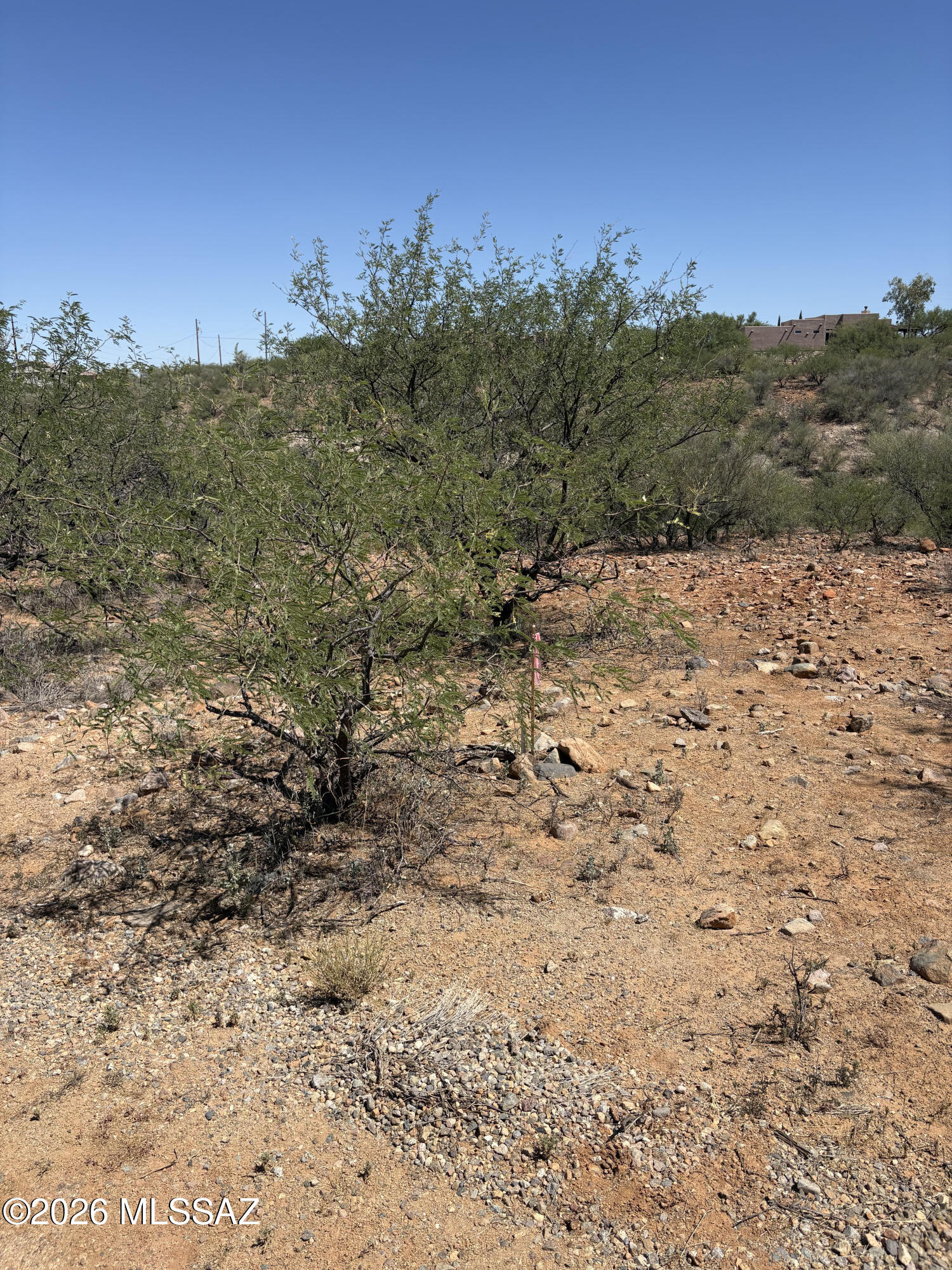 Rio Rico - Land