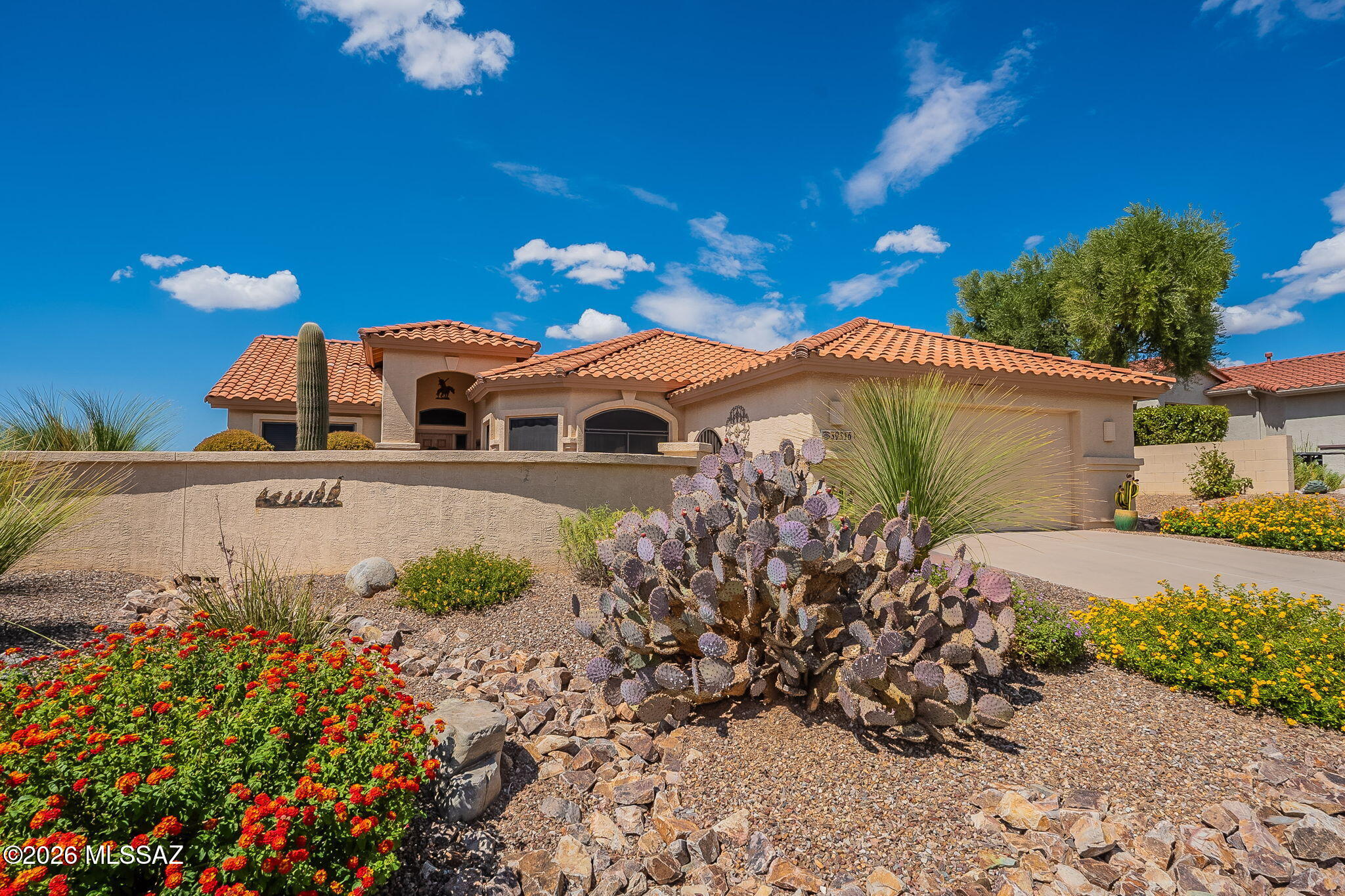 Saddlebrooke - Residential