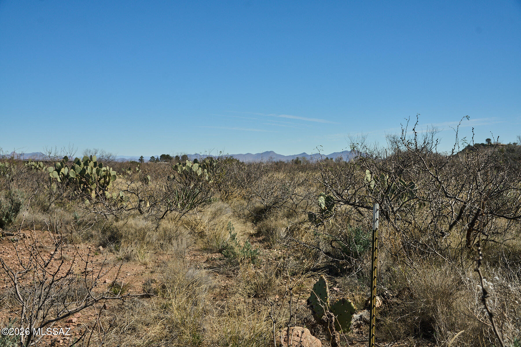 Out Of Pima County - Land