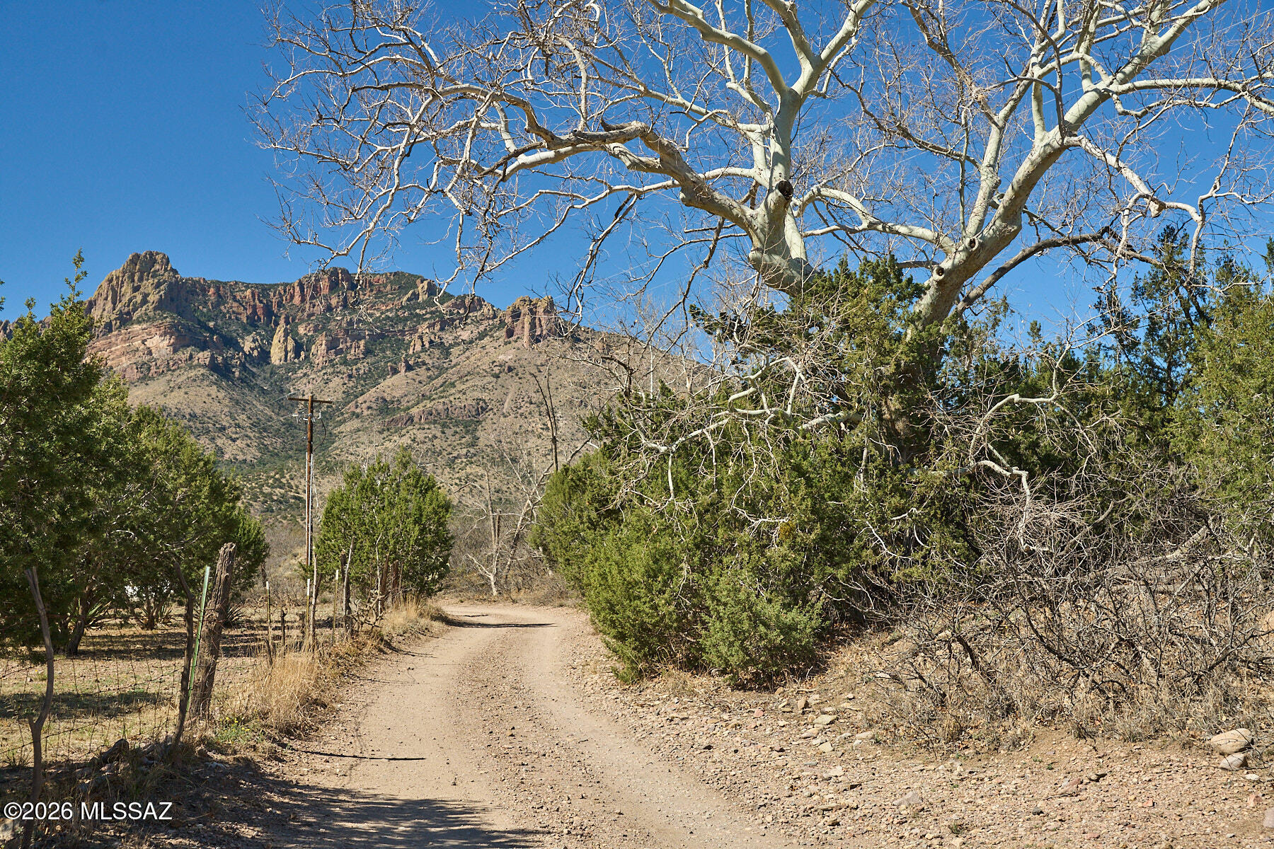 Out Of Pima County - Land