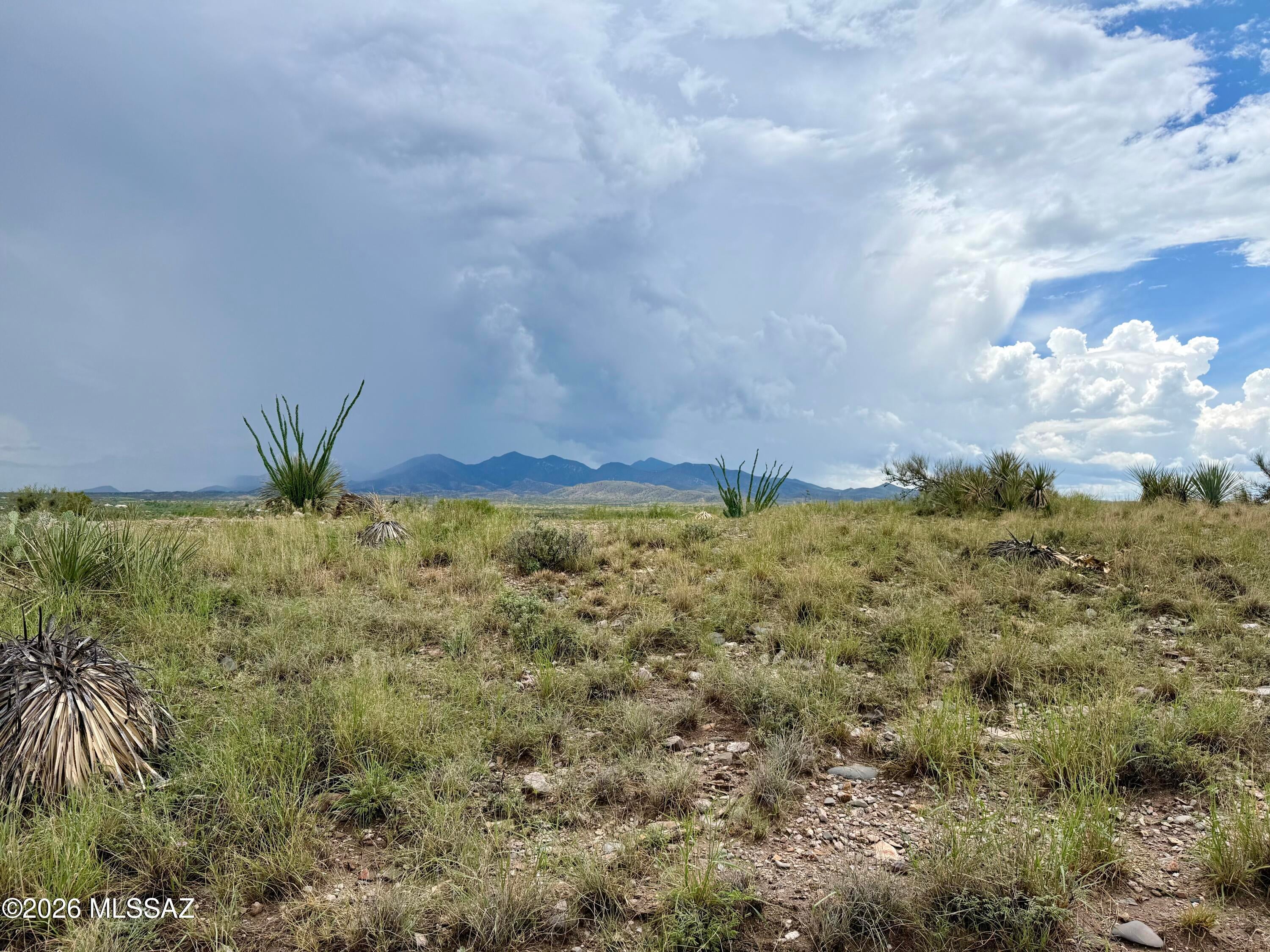 Discover the beauty of the high desert with this 1.2-acre parcel featuring Suburban Homestead zoning, stunning mountain views, paved road access, and adjacency to State Trust Land. Surrounded by native desert vegetation, mature ocotillo, and wide-open skies, this property offers a peaceful setting with beautiful scenery in every direction. The neighboring State Trust Land adds to the sense of open space and natural desert surroundings. Enjoy spectacular skies, colorful sunsets, and the rugged beauty of the surrounding mountains. With plenty of space to create your vision, this property is a wonderful opportunity to own your own piece of Southern Arizona desert. Come take in the views and imagine the possibilities!