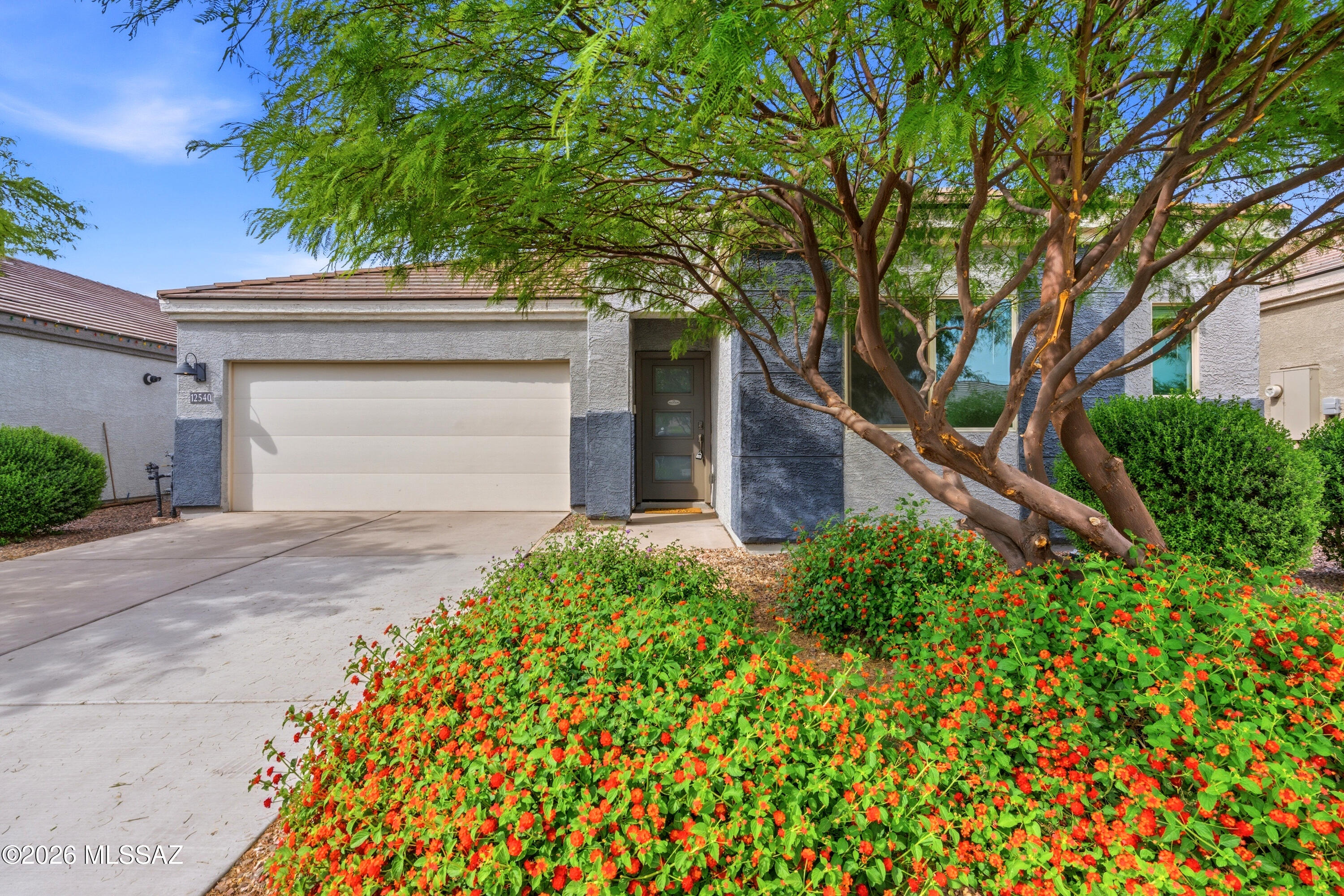 The Village at Barnett - Residential
