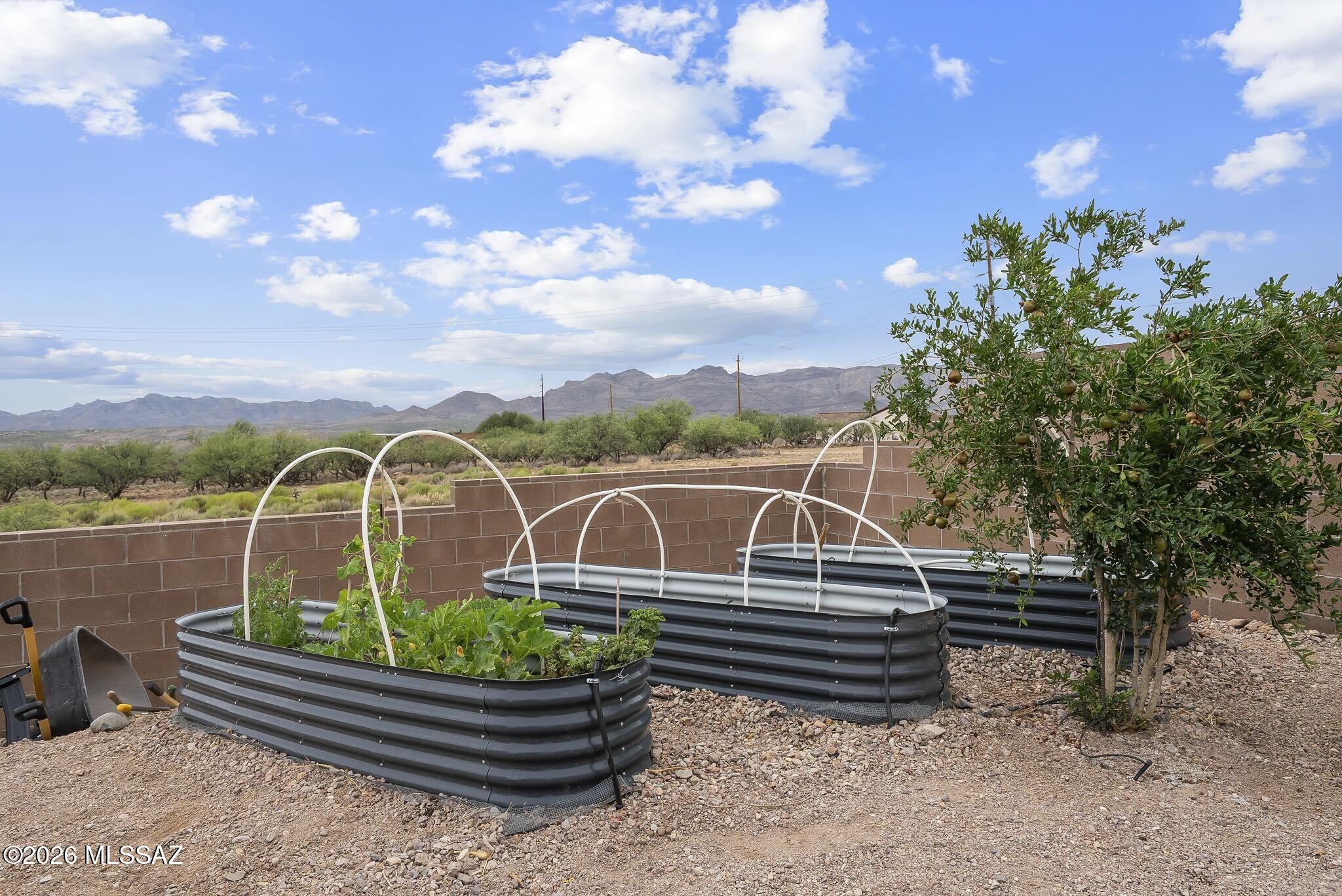 Rio Rico Ranchettes 18 - Residential