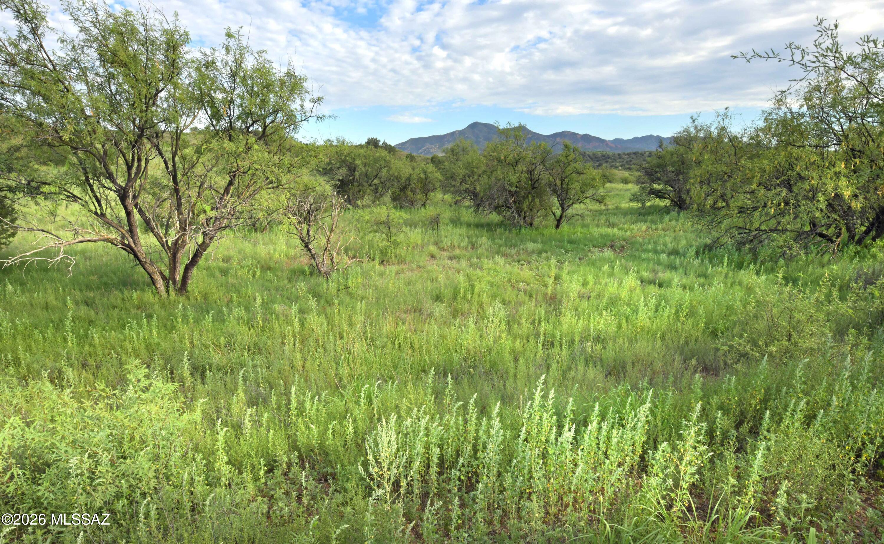 Three Canyons - Land