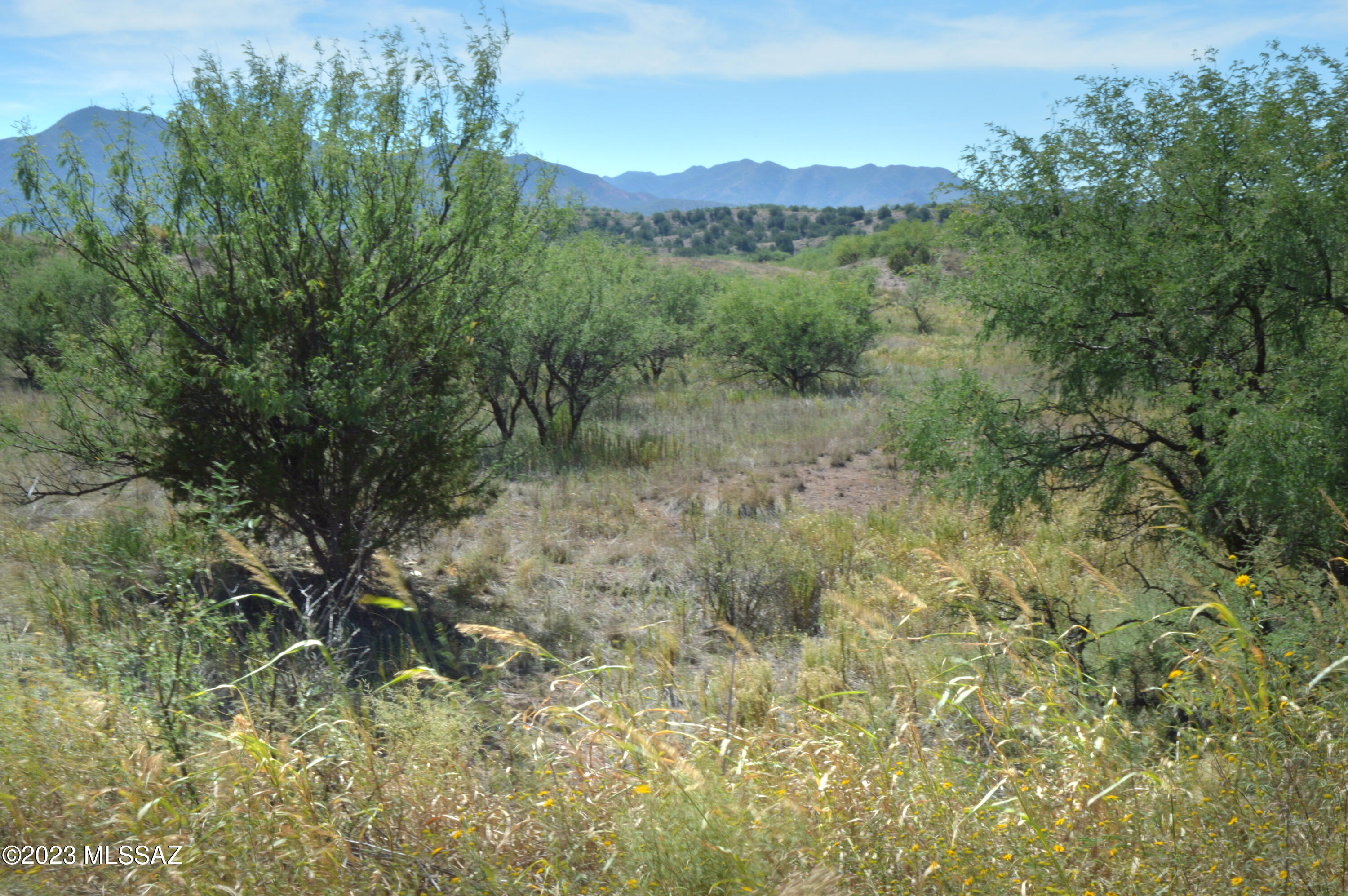 Three Canyons - Land