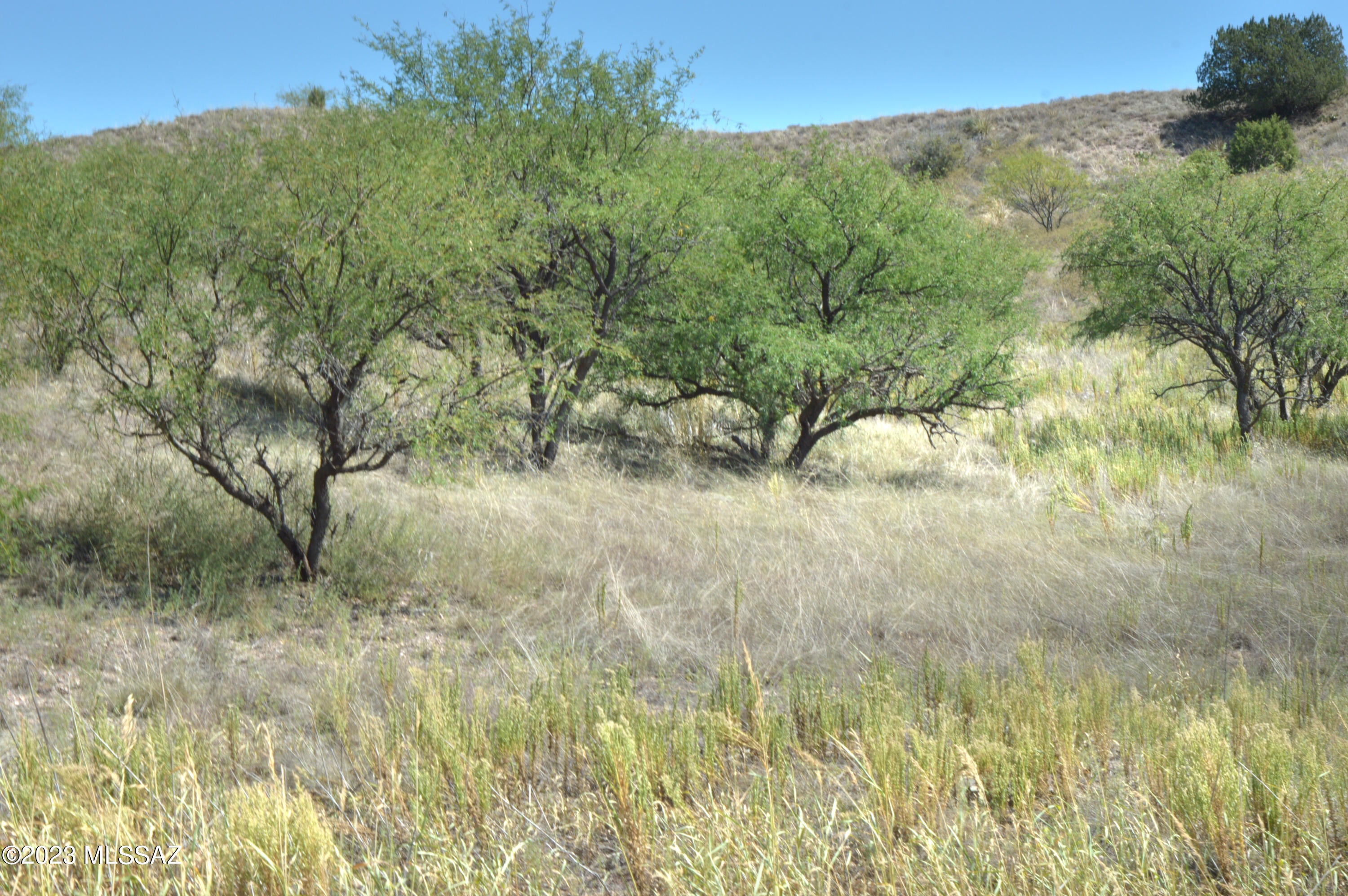 Three Canyons - Land