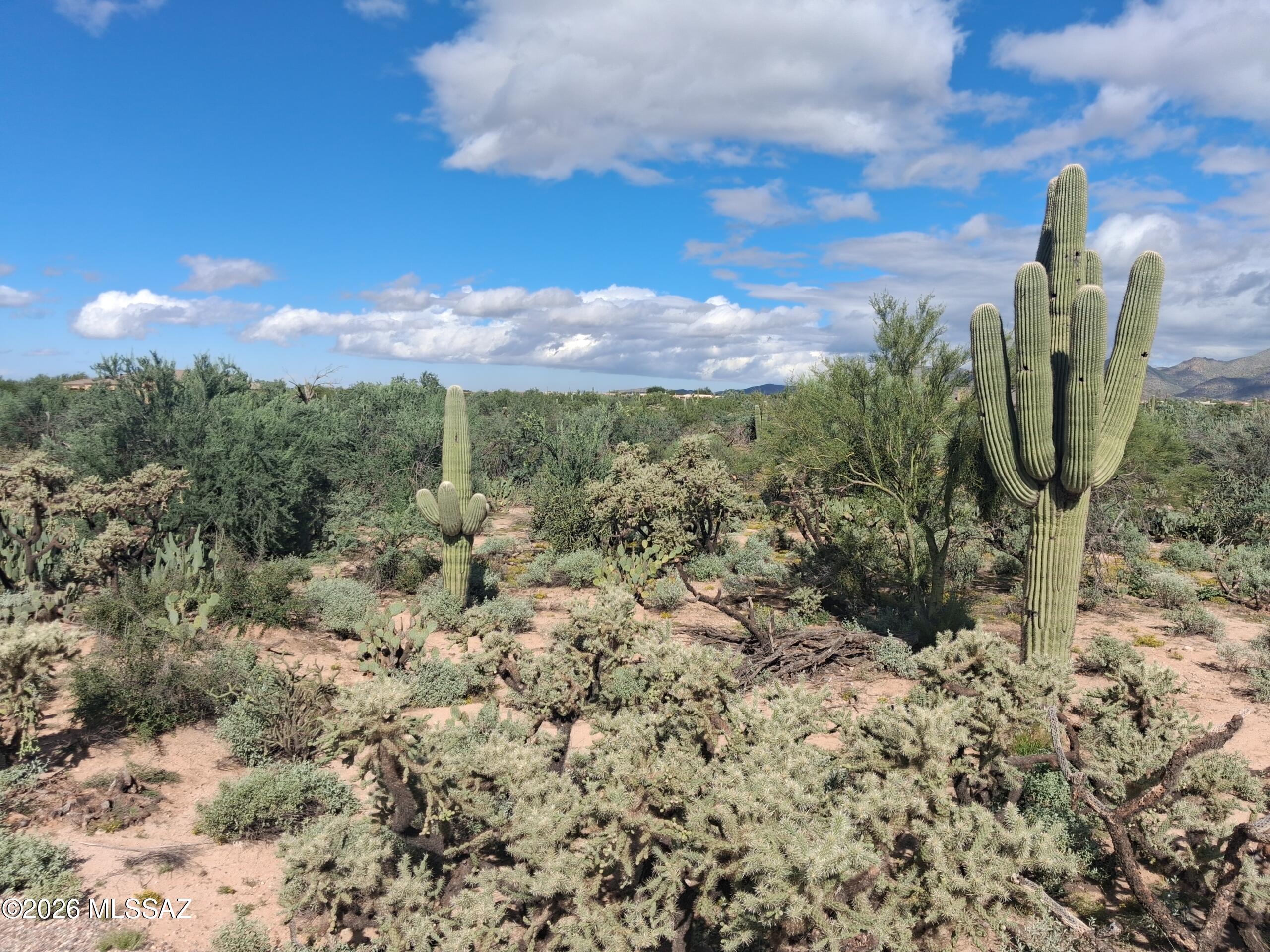 Lush desert property on Tucson's desirable Northwest side. All utilities at property line. Rezoning / lot split eligible.