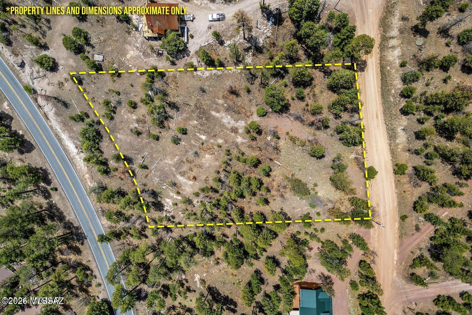 ** ESCAPE THE CITY** IN THIS HIGH COUNTRY . BEAUTIFUL VIEWS FROM HIGH GROUND. ALL UTILITIES AVAILABLE INCLUDING ALPINE WATER & SEWER, ELECTRIC & PHONE. COUNTY MAINTAINED ROADS FOR YEAR ROUND LIVING OR FOR WINTER HOLIDAYS IN THE MOUNTAINS. EASY WALKING ACCESS INTO USFS DIRECTLY FROM THE PROPERTY, AS WELL AS DRIVING ACCESS JUST MINUTES FROM THE LAND DOWN THE CORONADO TRAIL.