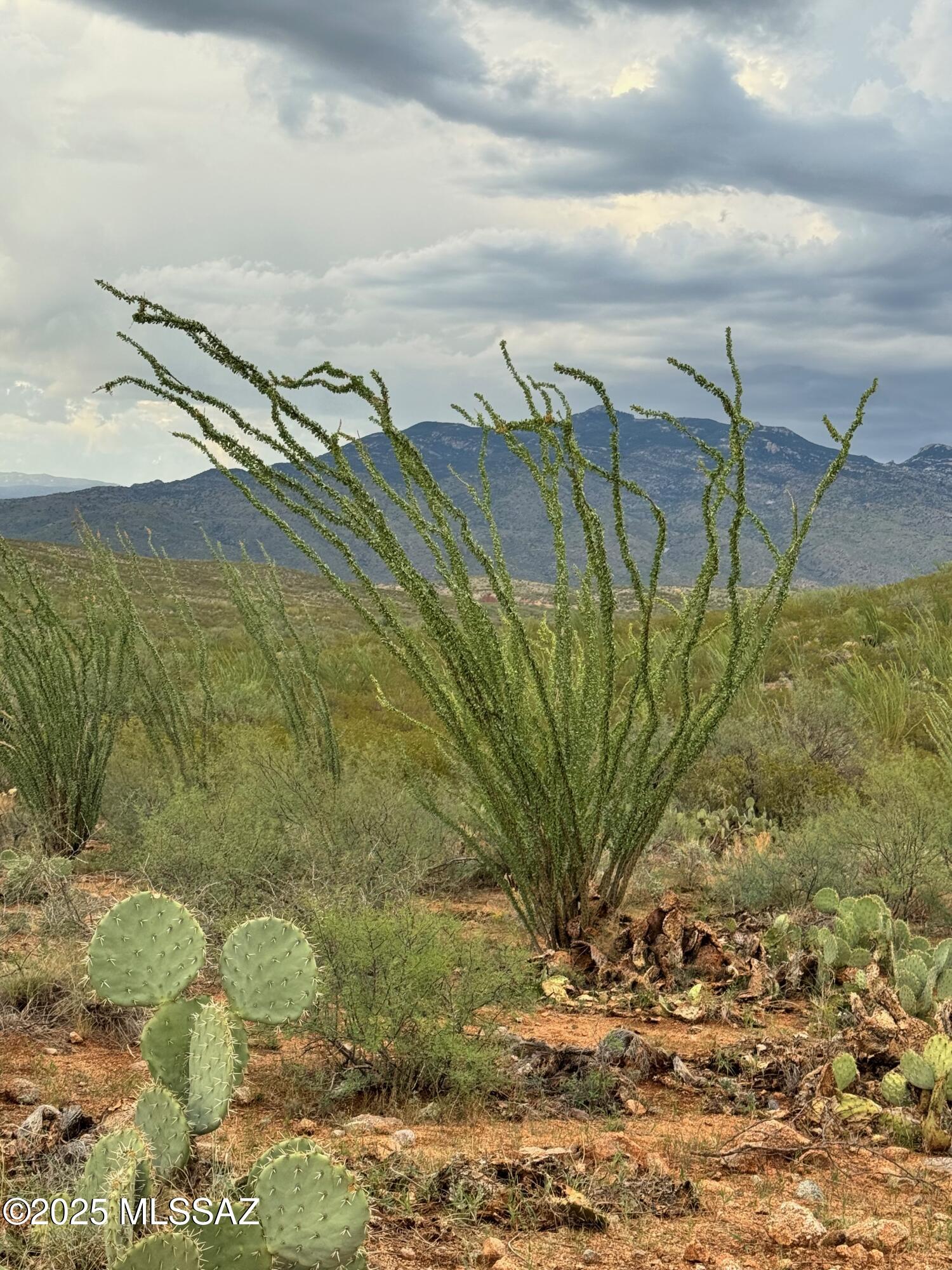 30 Acres • Power at Lot Line • Untouched Sonoran Desert with Mountain Views - Vail, AZ

Escape to the peace and beauty of the Sonoran Desert on this untouched 30-acre parcel located in the Vail School District. Surrounded by natural desert vegetation, open range land, and wide-open skies, this property offers incredible mountain views and endless potential — all within easy reach of Tucson and I-10.

🌵 Property Highlights:

30 acres of pristine, natural desert with mature saguaros and native vegetation

Electric at the lot line - ready for your dream home, ranch, or off-grid retreat

Adjacent 10-acre parcel also available - combine for a total of 40 acres of Sonoran beauty

Open Range land near Federal (BLM) land for added privacy and access to unspoiled surroundi Panoramic views of the Rincon and Santa Rita Mountains
No HOA or restrictive covenants - freedom to build, camp, or live off-grid your way
Easy access via maintained roads, just minutes to shopping, dining, and schools in Vail
This land remains completely untouched  a rare opportunity to own a large, natural piece of Arizona's desert landscape. Perfect for those seeking privacy, space, and a connection to nature, or investors looking for premium acreage in a growing area.