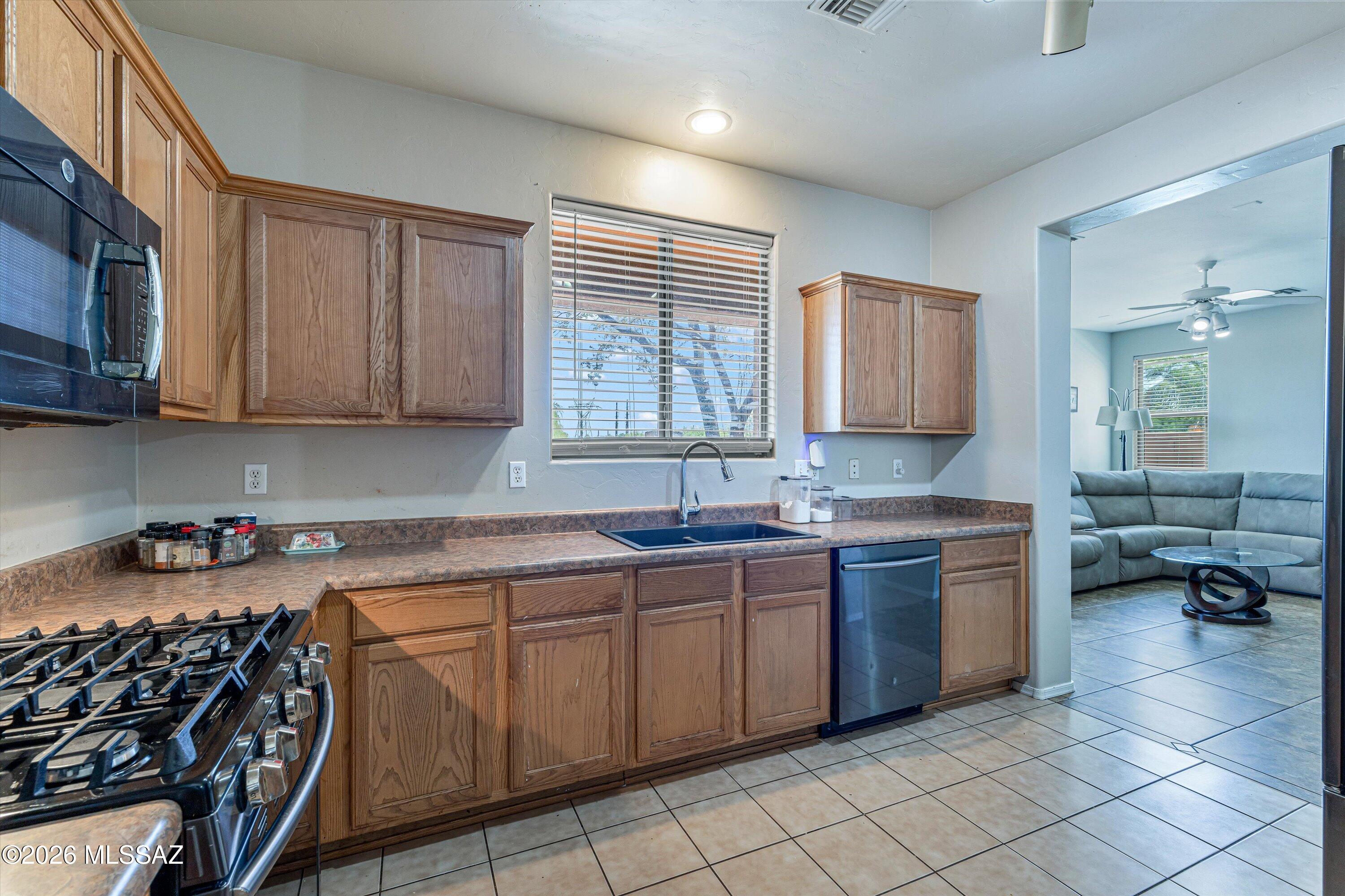 Presidios at Rancho Sahuarita (1-927) - Residential