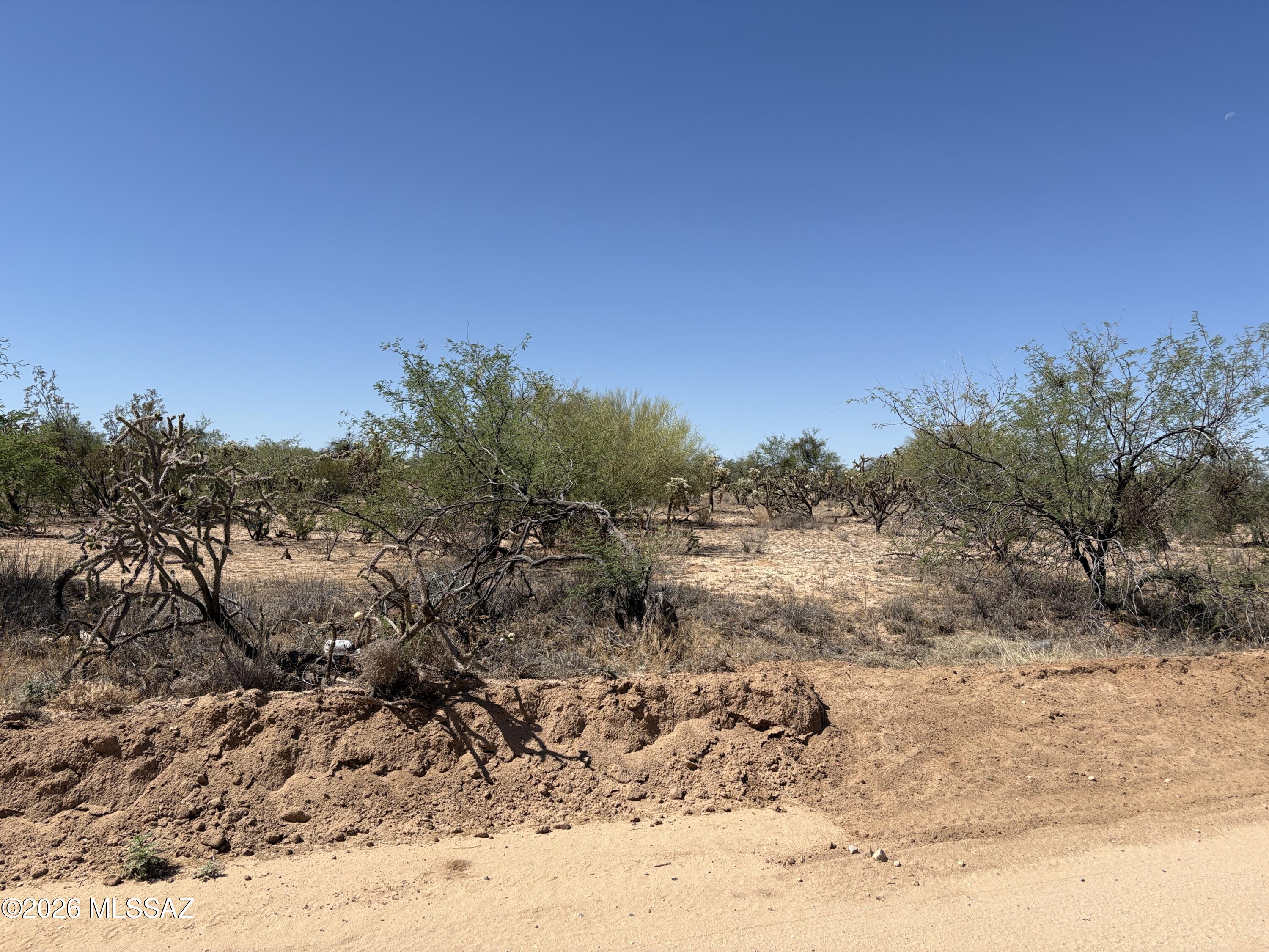 Two acres in Diamond Bell Ranch on well-maintained dirt road fronts to Guy St and Many Horses.  Pristine land - never developed - electric 2/10th mile south - area of site built and manufactured homes - great opportunity for a homestead.