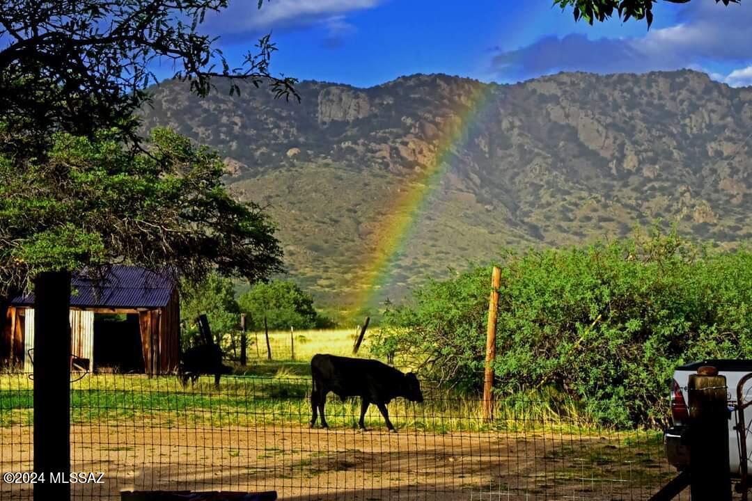 Unsubdivided - Farm