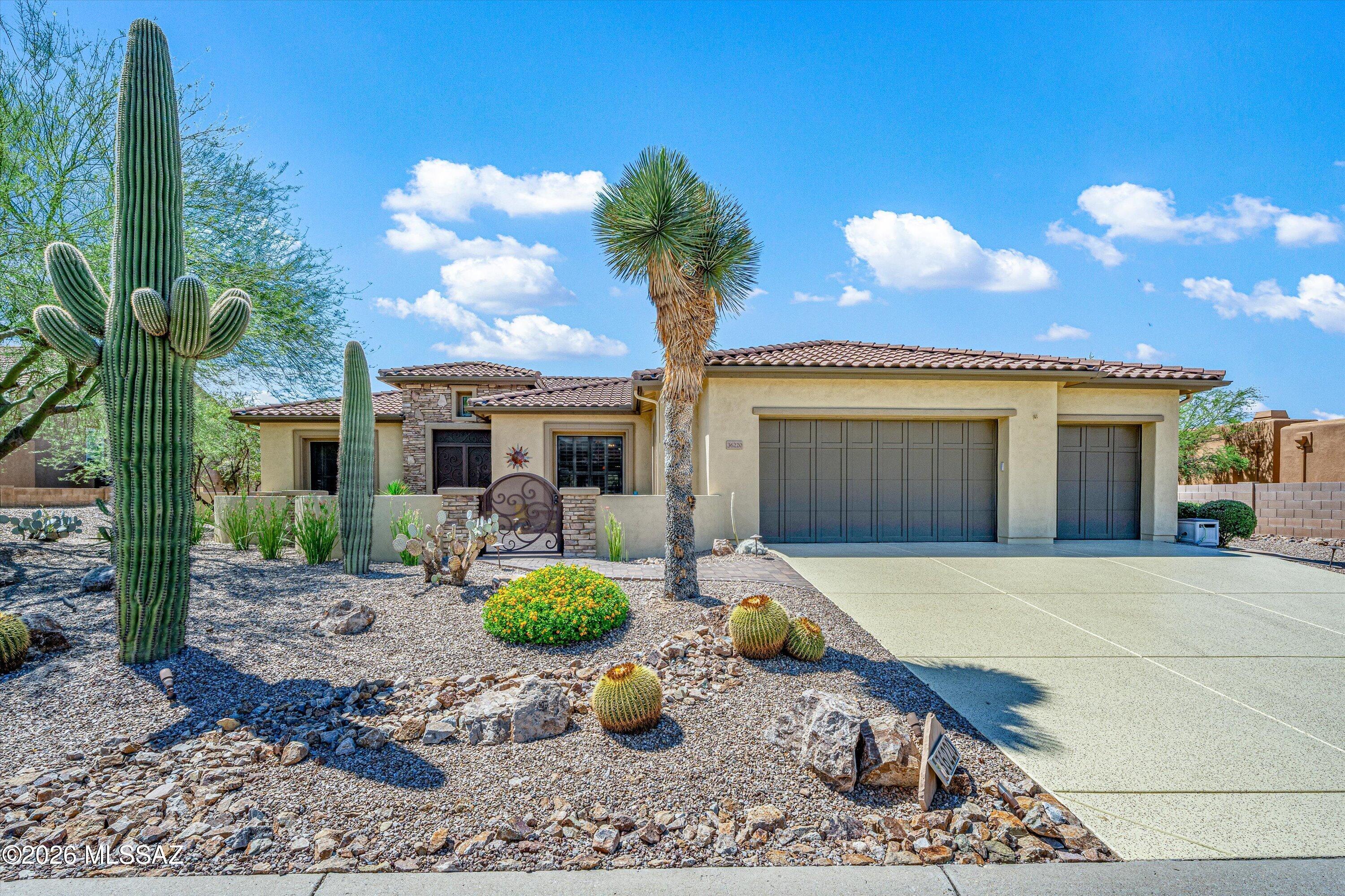 Saddlebrooke - Residential