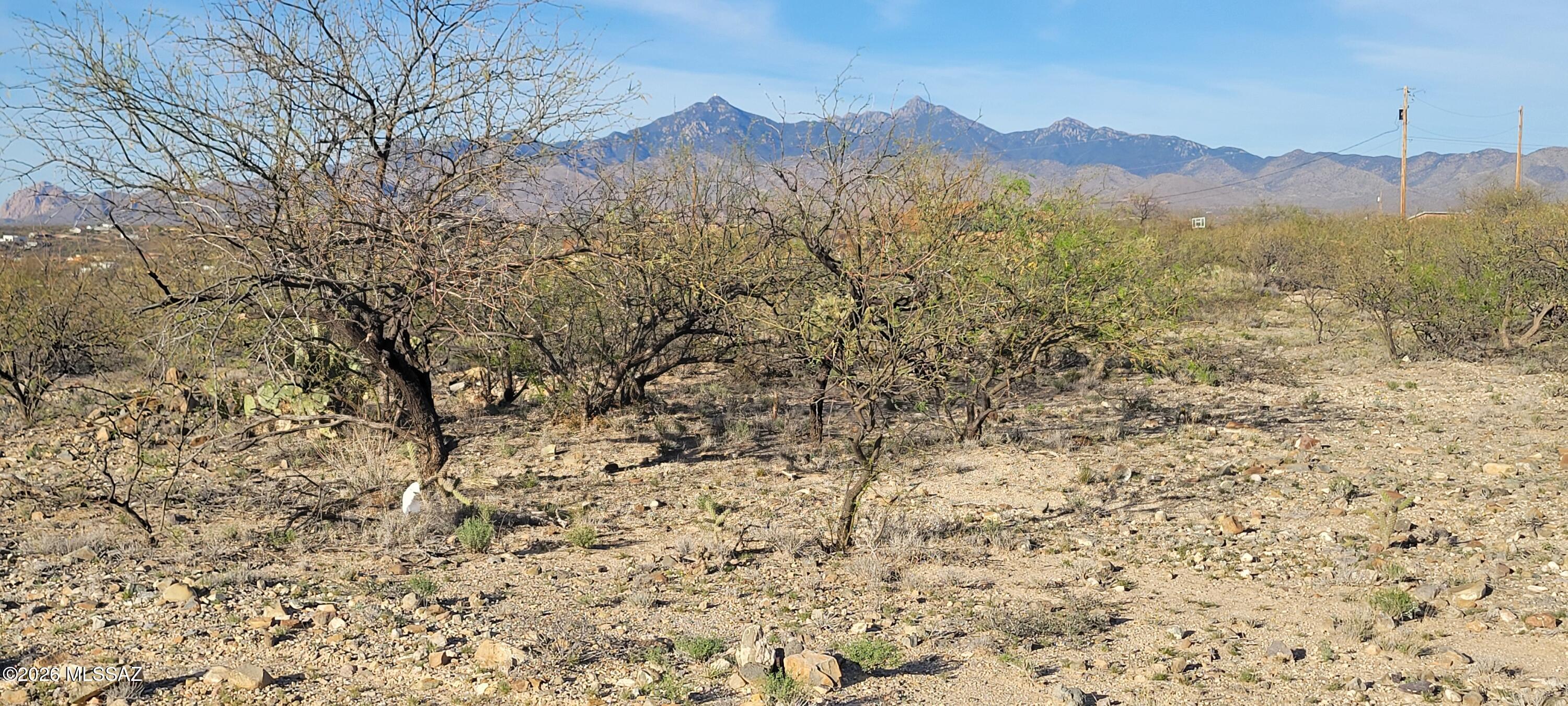 Rio Rico Ranchettes 18 - Land