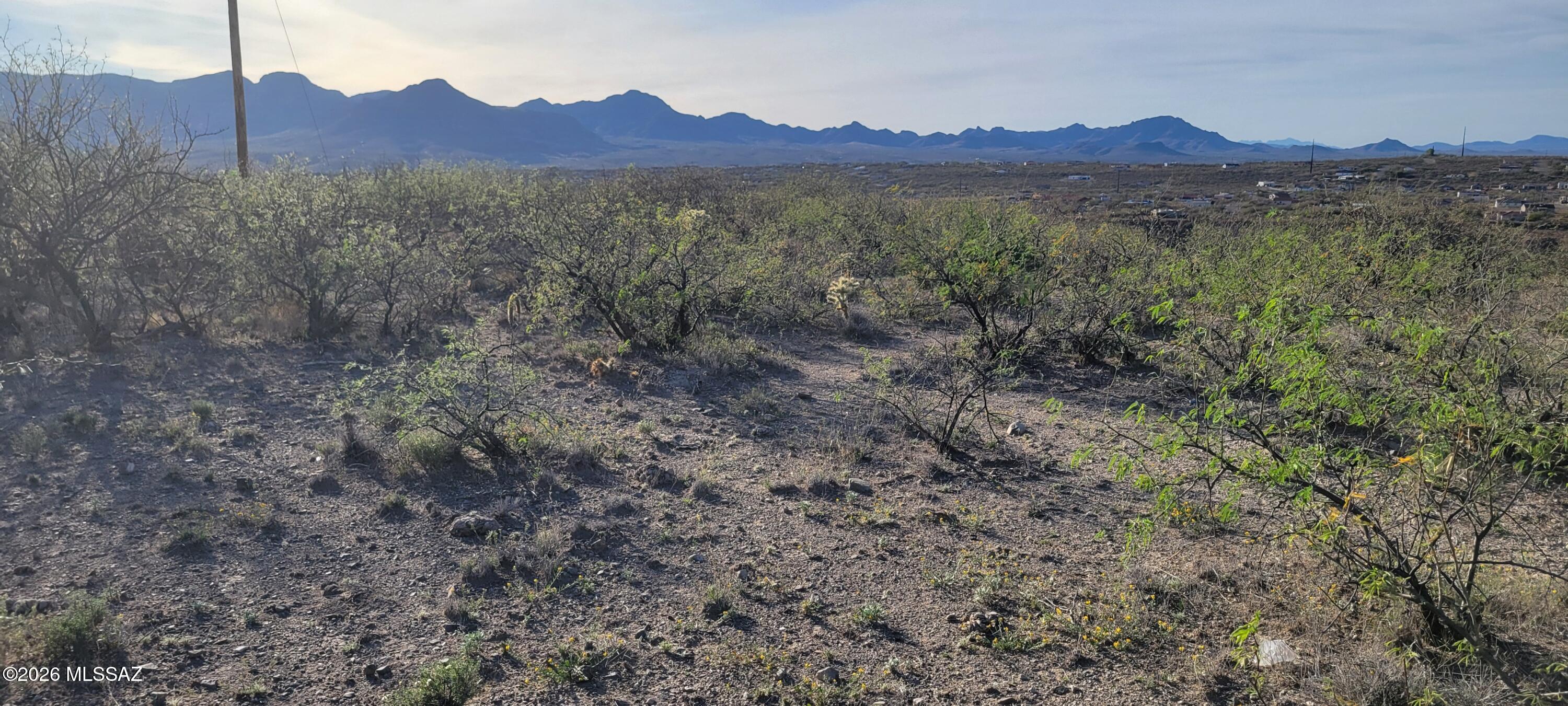 Rio Rico Ranchettes 18 - Land