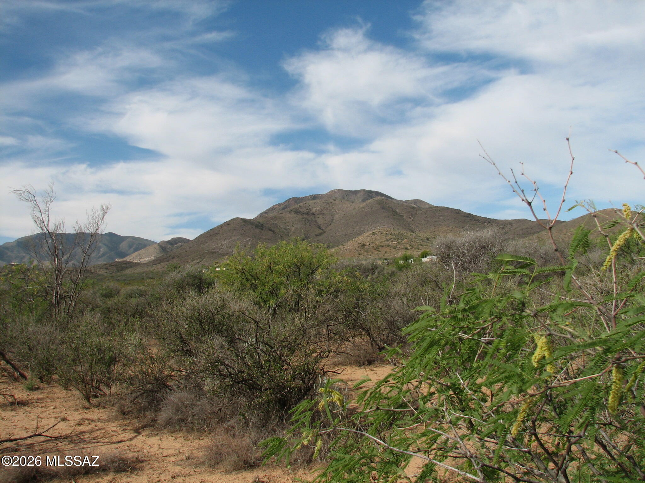 10 Lush acres of desert located on Paved Dragoon Road Frontage at the corner of Nino Place !  Electric, phone at the road.  Tucked just out of the Dragoon Mountain foothills.   Panoramic views of the area.   Parcel surveyed into two five acre parcels.    Great opportunity to own a scenic home site with great access !  No HOA, No Deed Restrictions !  Adjoining 20 acres is available !
