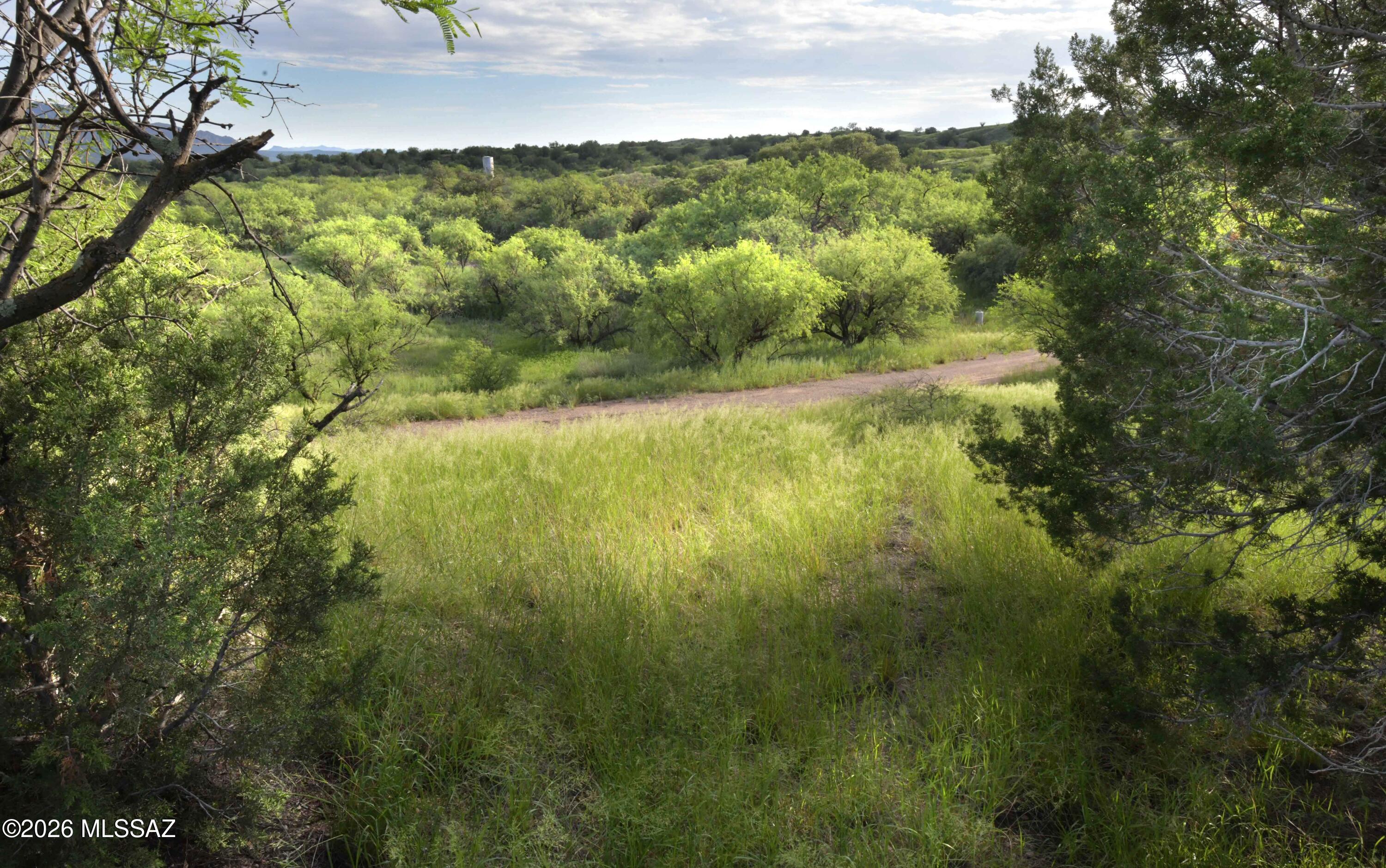 The Estates At Three Canyons - Land