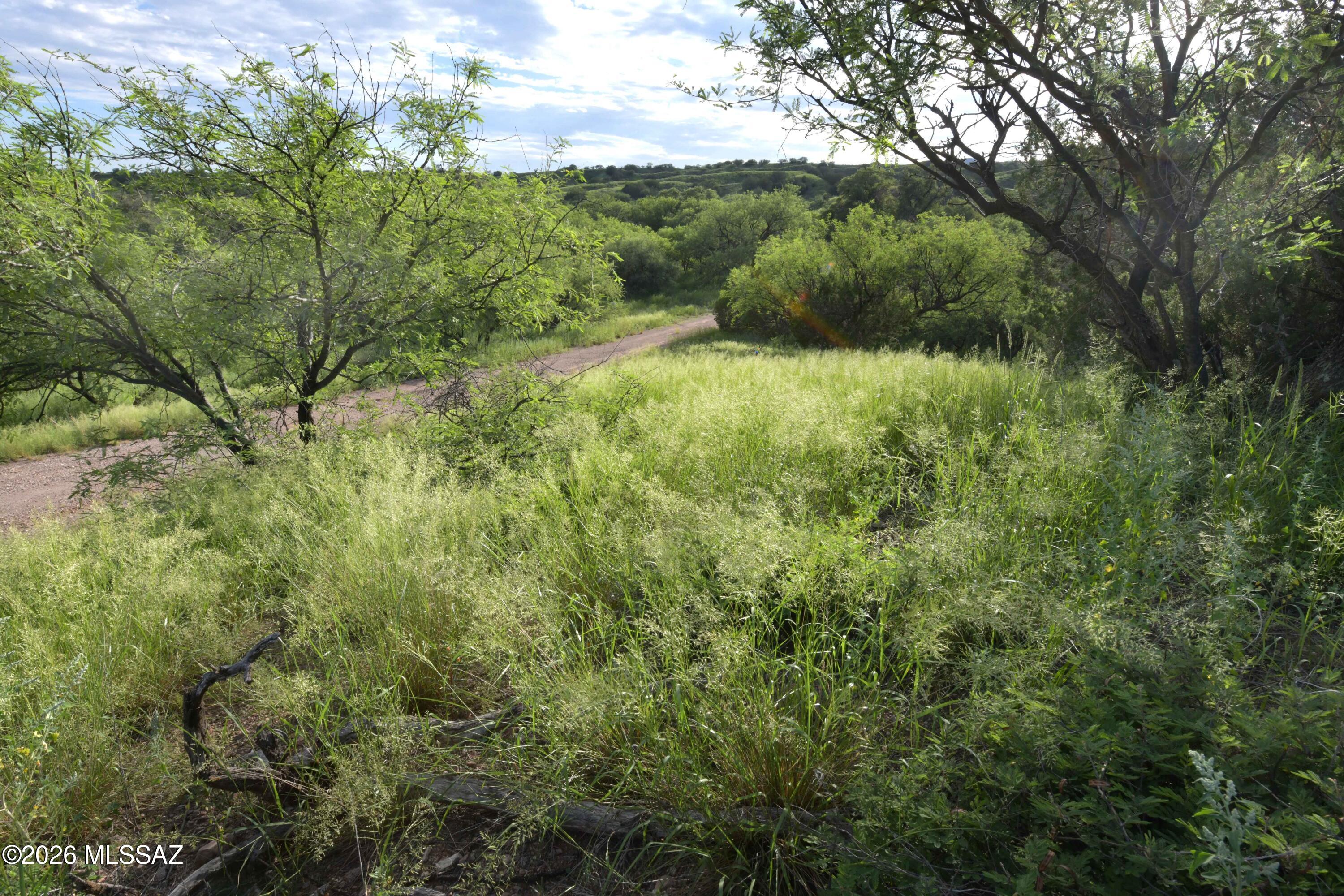 The Estates At Three Canyons - Land