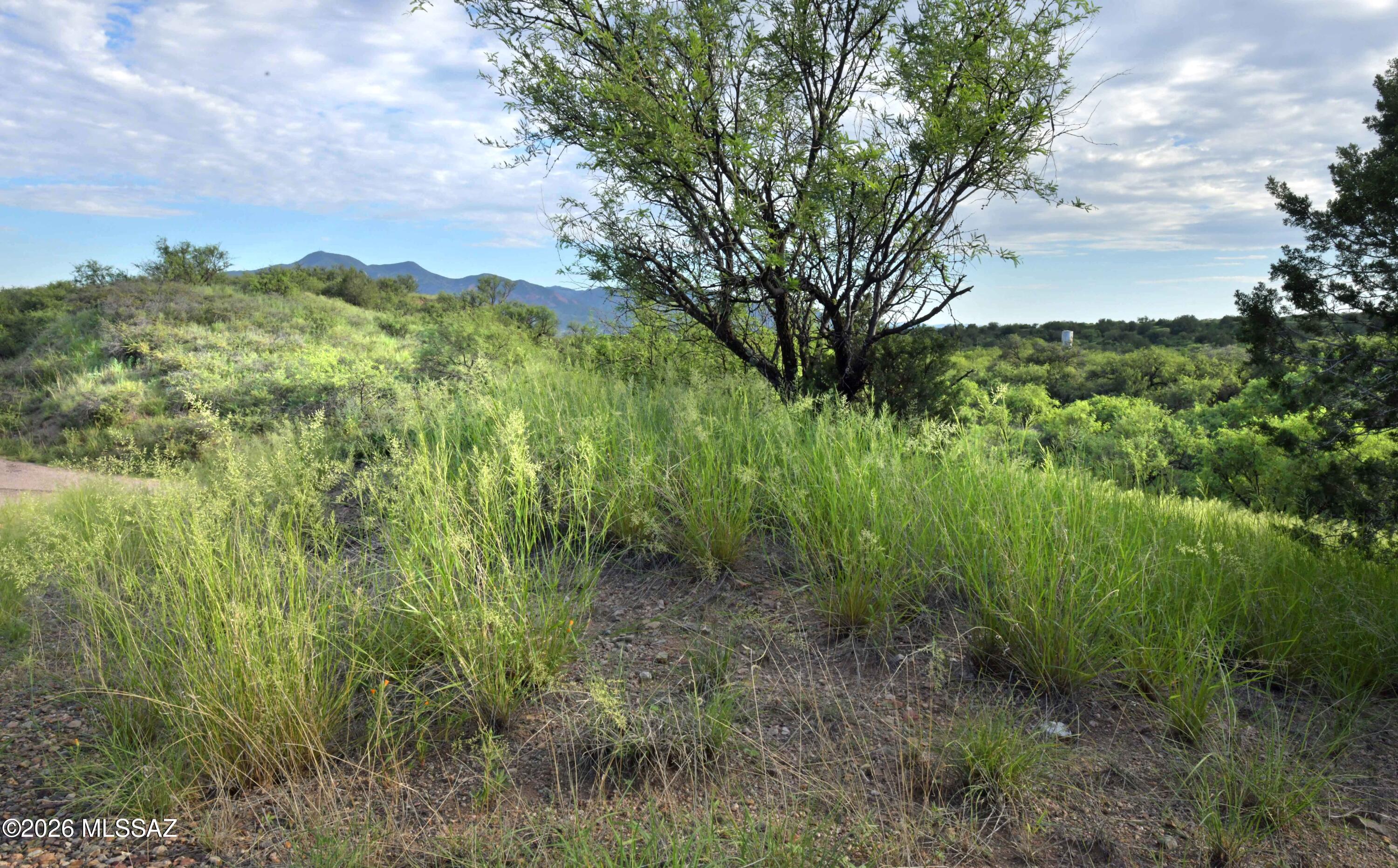The Estates At Three Canyons - Land