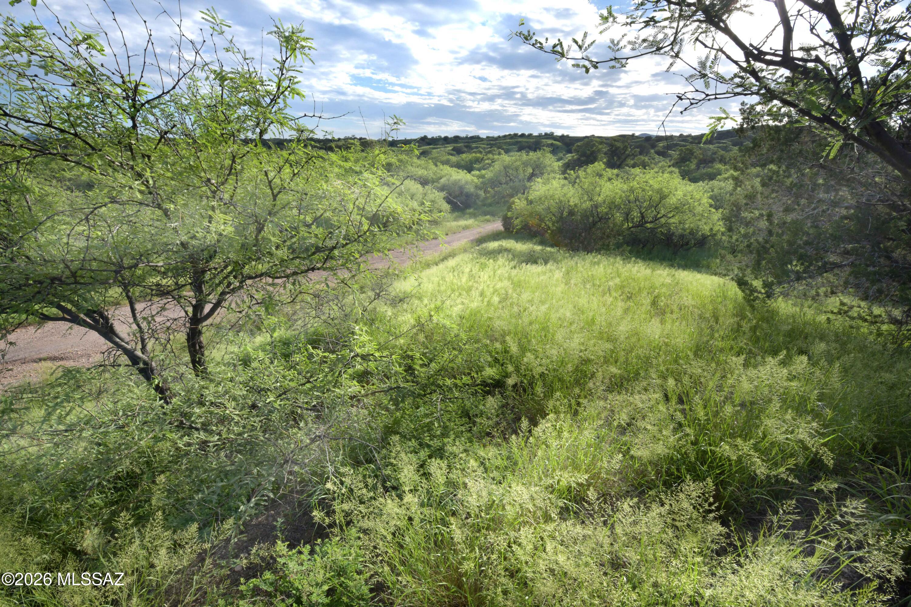 The Estates At Three Canyons - Land