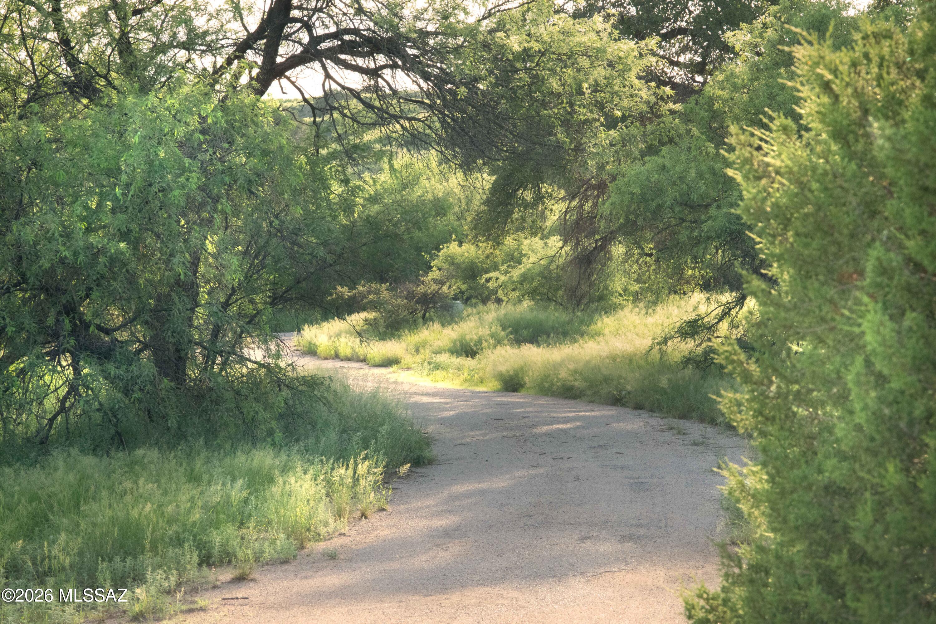 The Estates At Three Canyons - Land