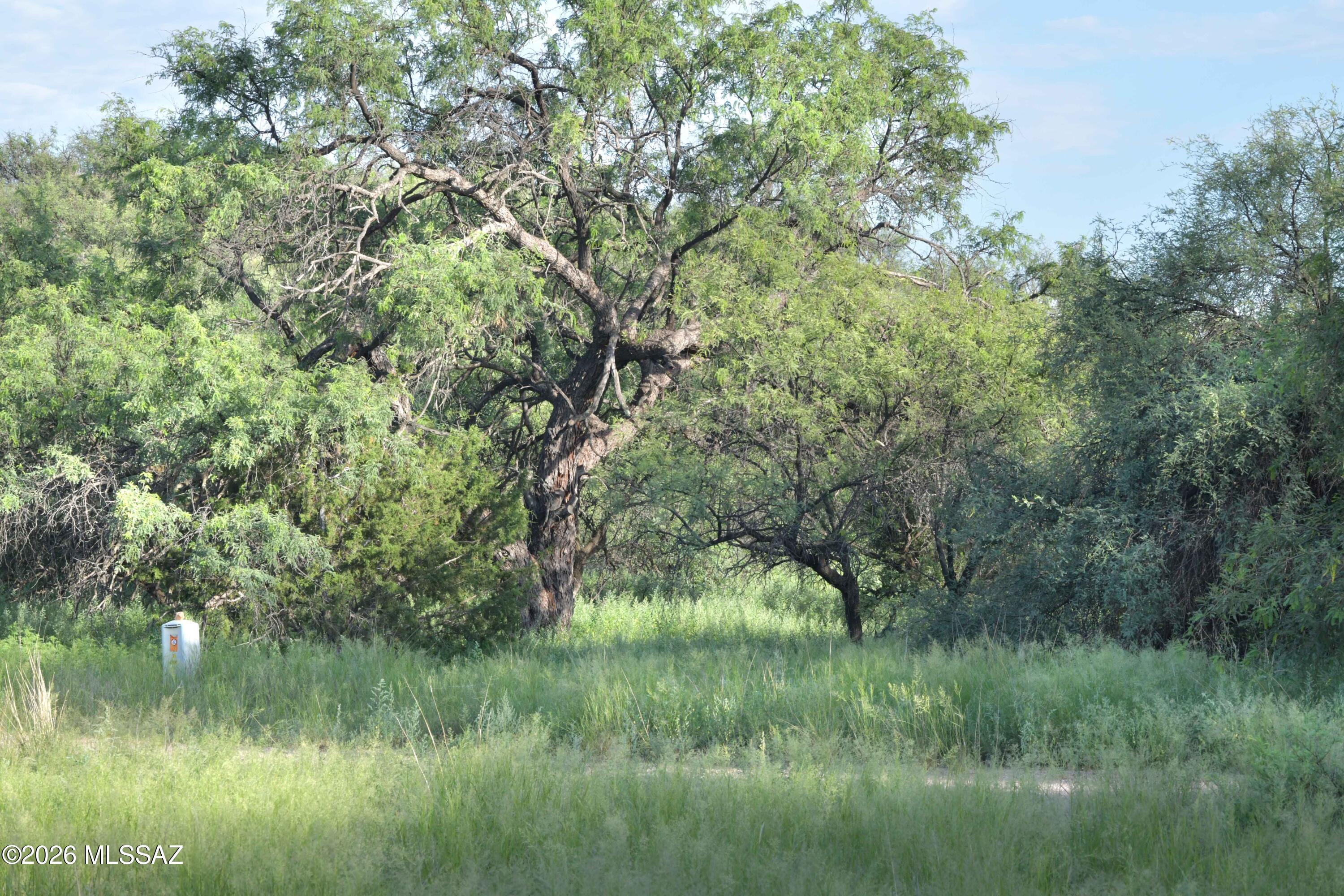 The Estates At Three Canyons - Land