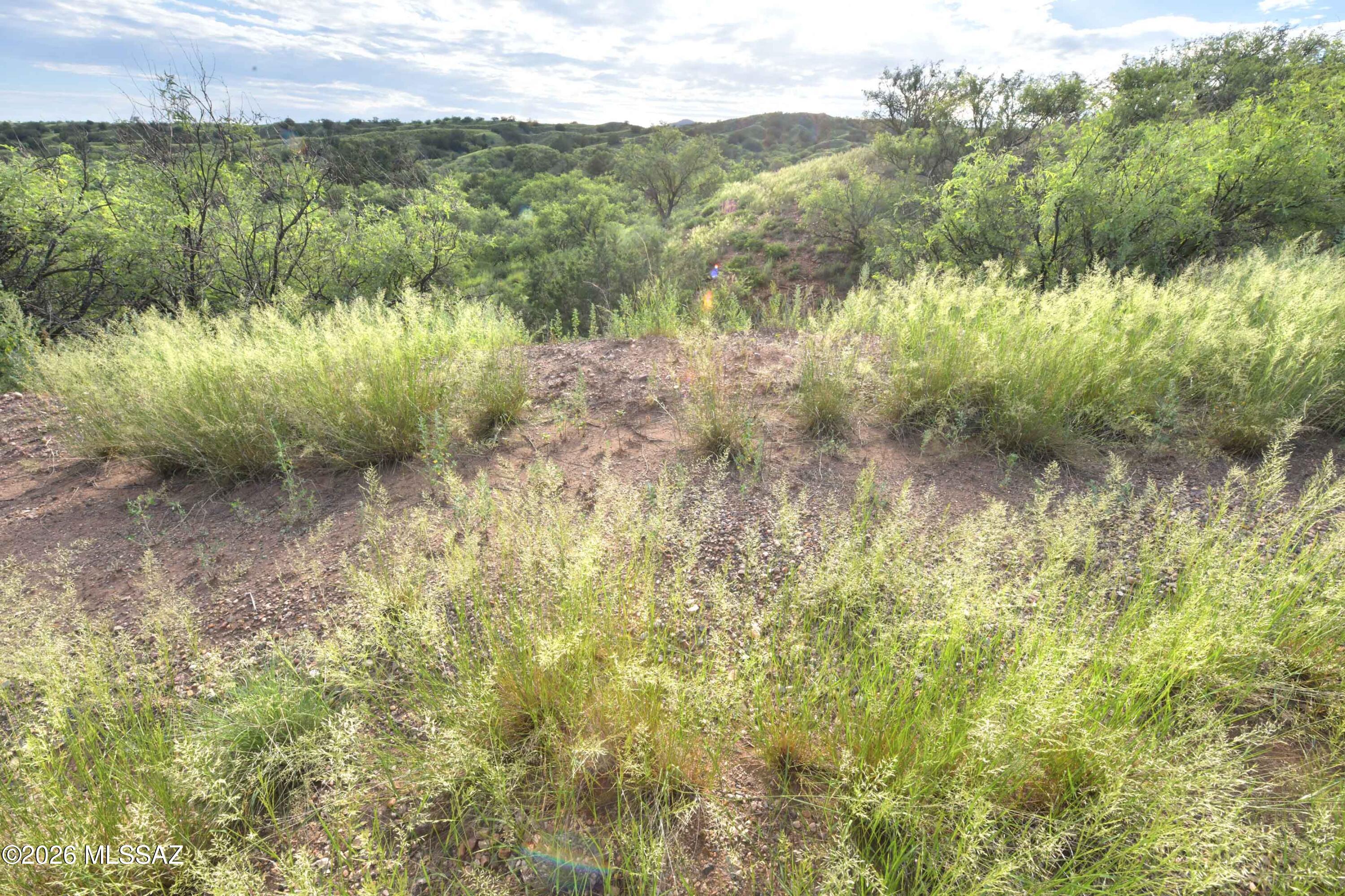 The Estates At Three Canyons - Land